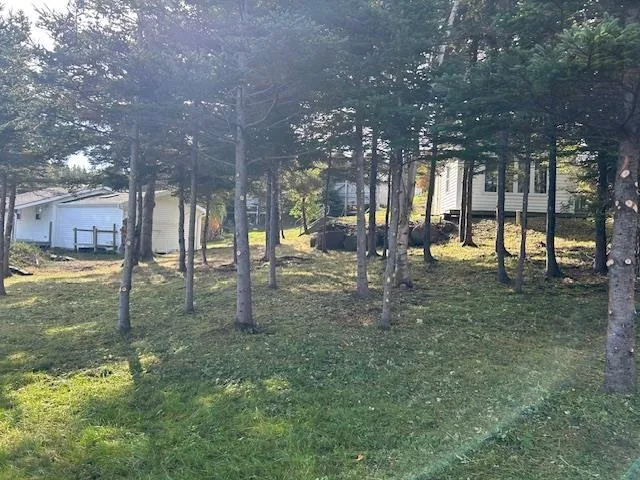10485 Grenville Street, St. Peters, NS B0E 3B0, 2 Bedrooms Bedrooms, ,1 BathroomBathrooms,Residential,For Sale,Grenville,202525602