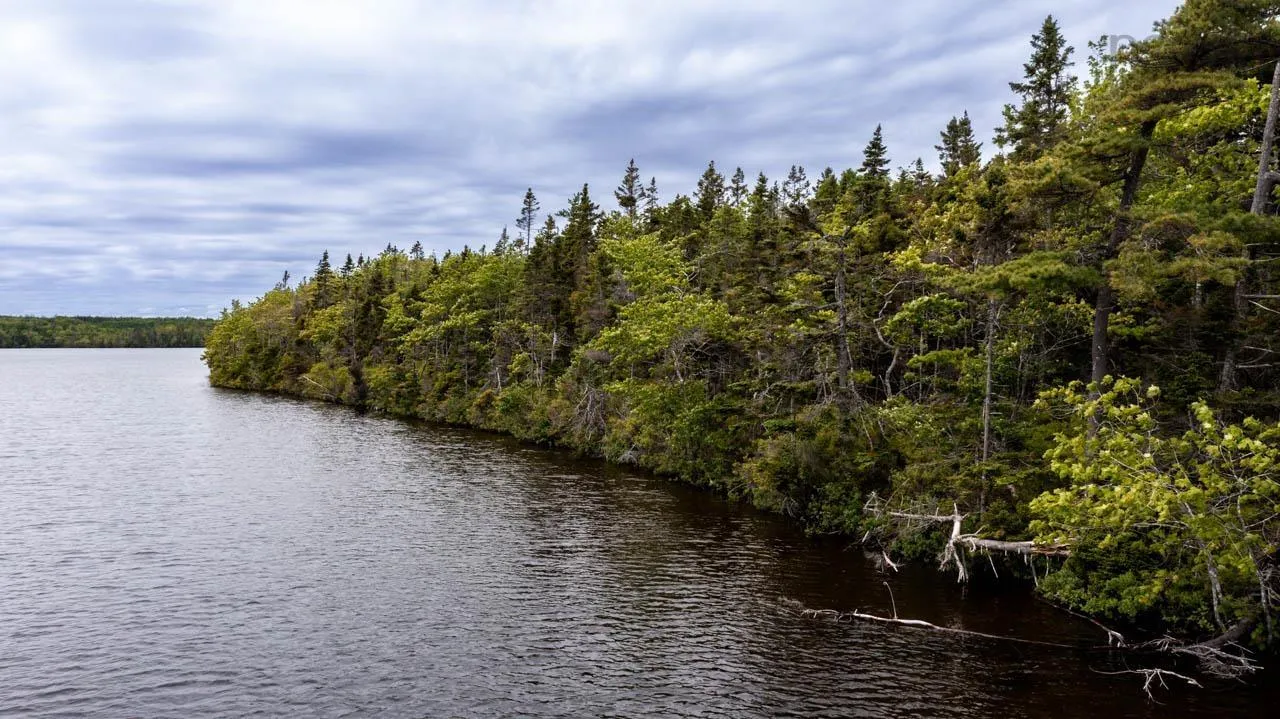 Campbells Point, Grand Lake, NS B0E 1K0, ,Land,For Sale,Campbells Point,202511958