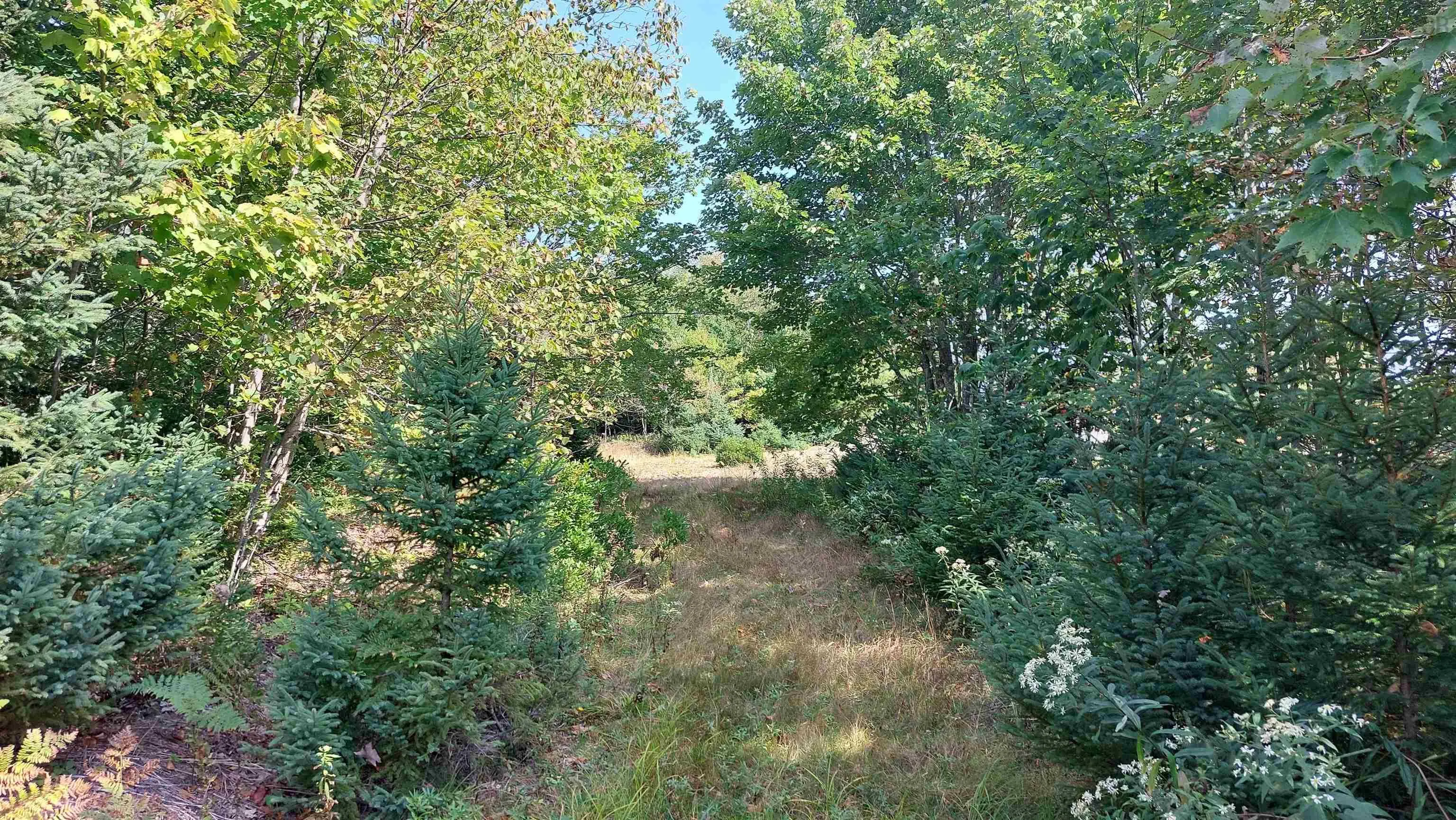 Campbells Point, Grand Lake, NS B0E 1K0, ,Land,For Sale,Campbells Point,202511958