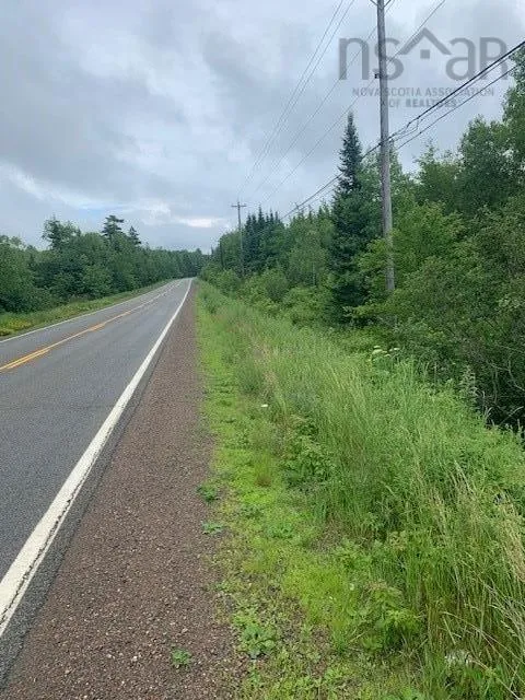 Hwy #2, Alton, NS B0N 2J0, ,Land,For Sale,Hwy #2,202518731