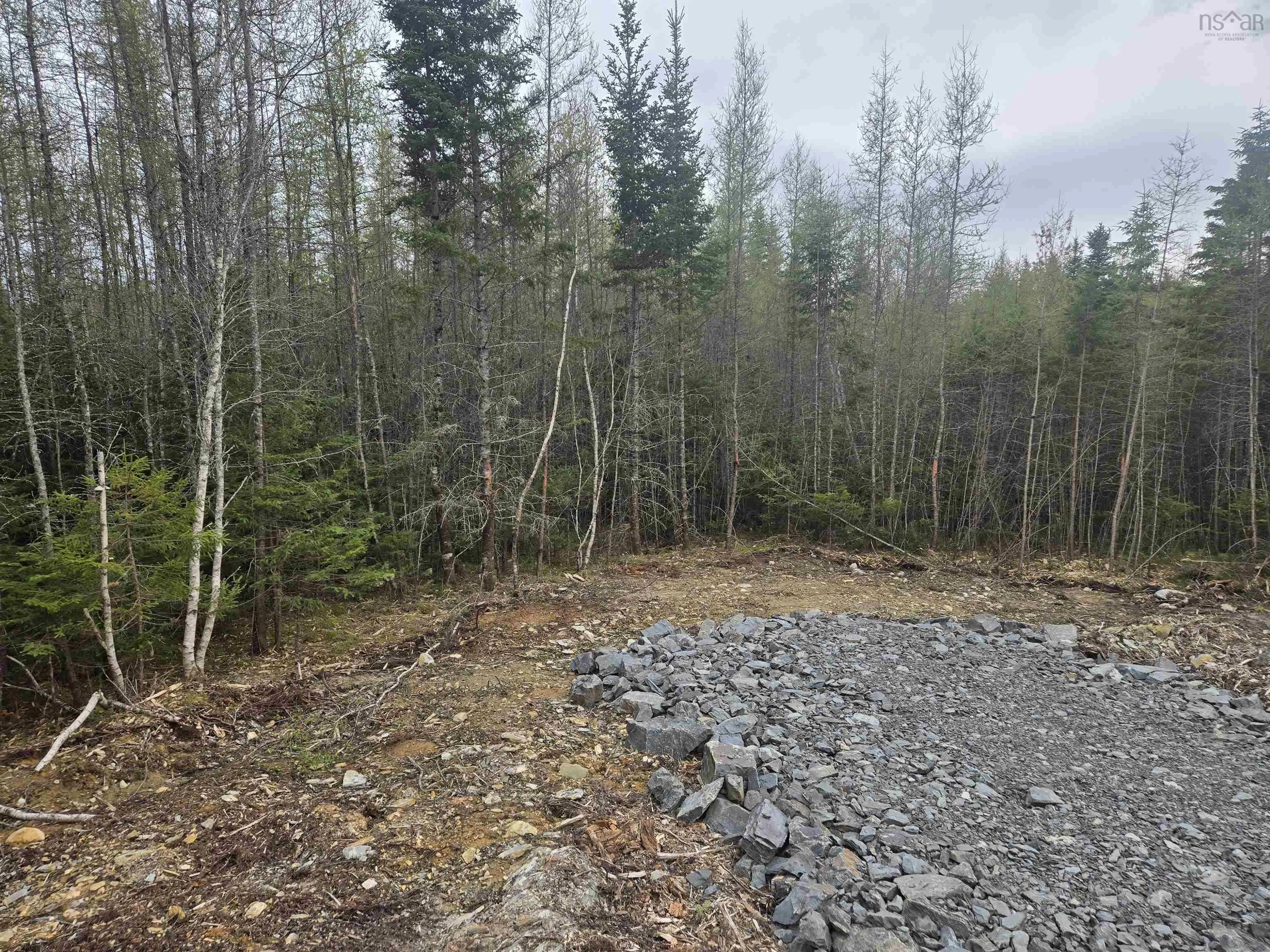 Waterloo Road Lot 3, Waterloo, NS B4V 8L7, ,Land,For Sale,Waterloo,202512076