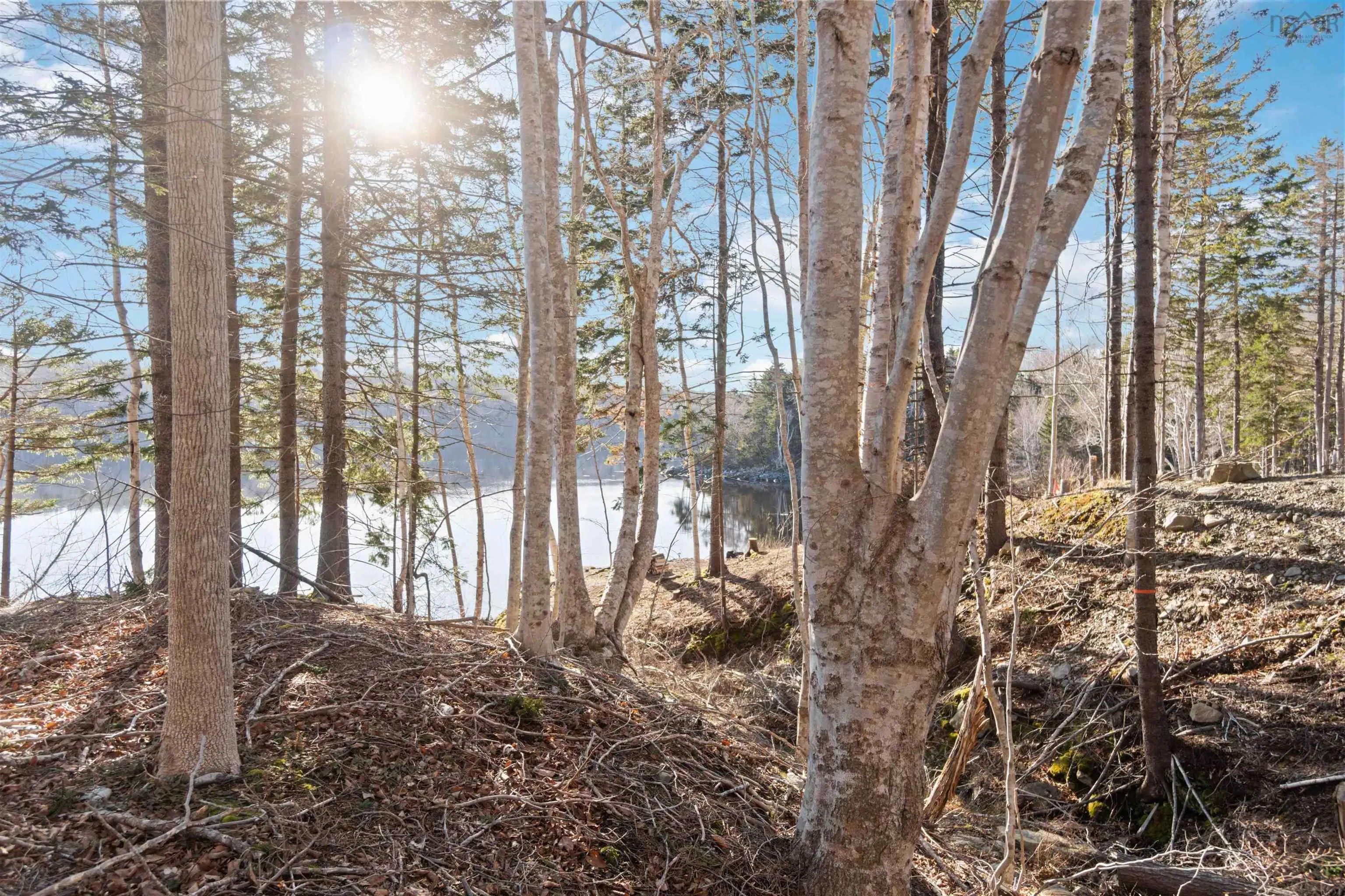 Riverside Road Lot 3, New Edinburgh Ns B0w 3t0, ,Land,For Sale,Riverside,202507617