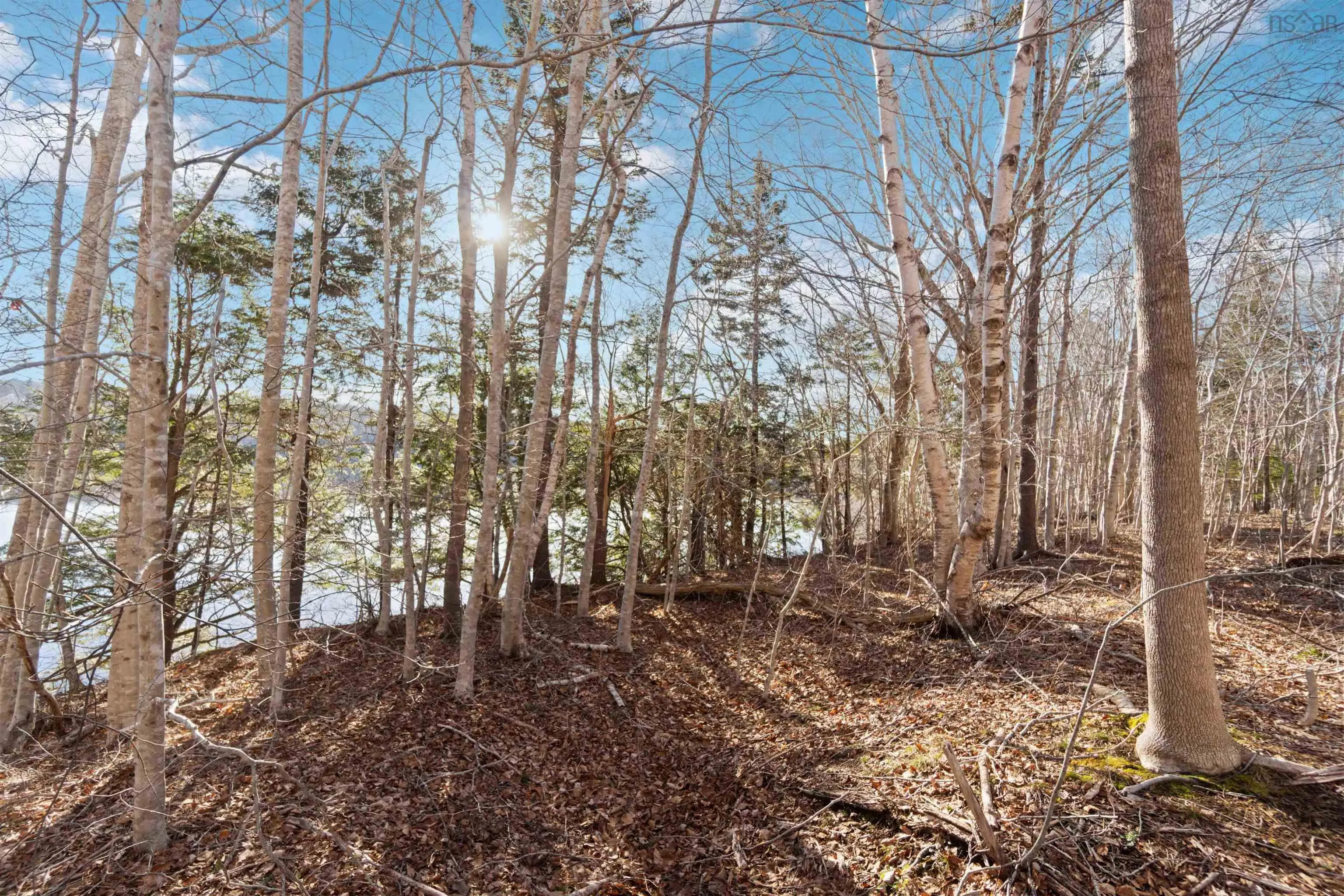 Riverside Road Lot 3, New Edinburgh Ns B0w 3t0, ,Land,For Sale,Riverside,202507617