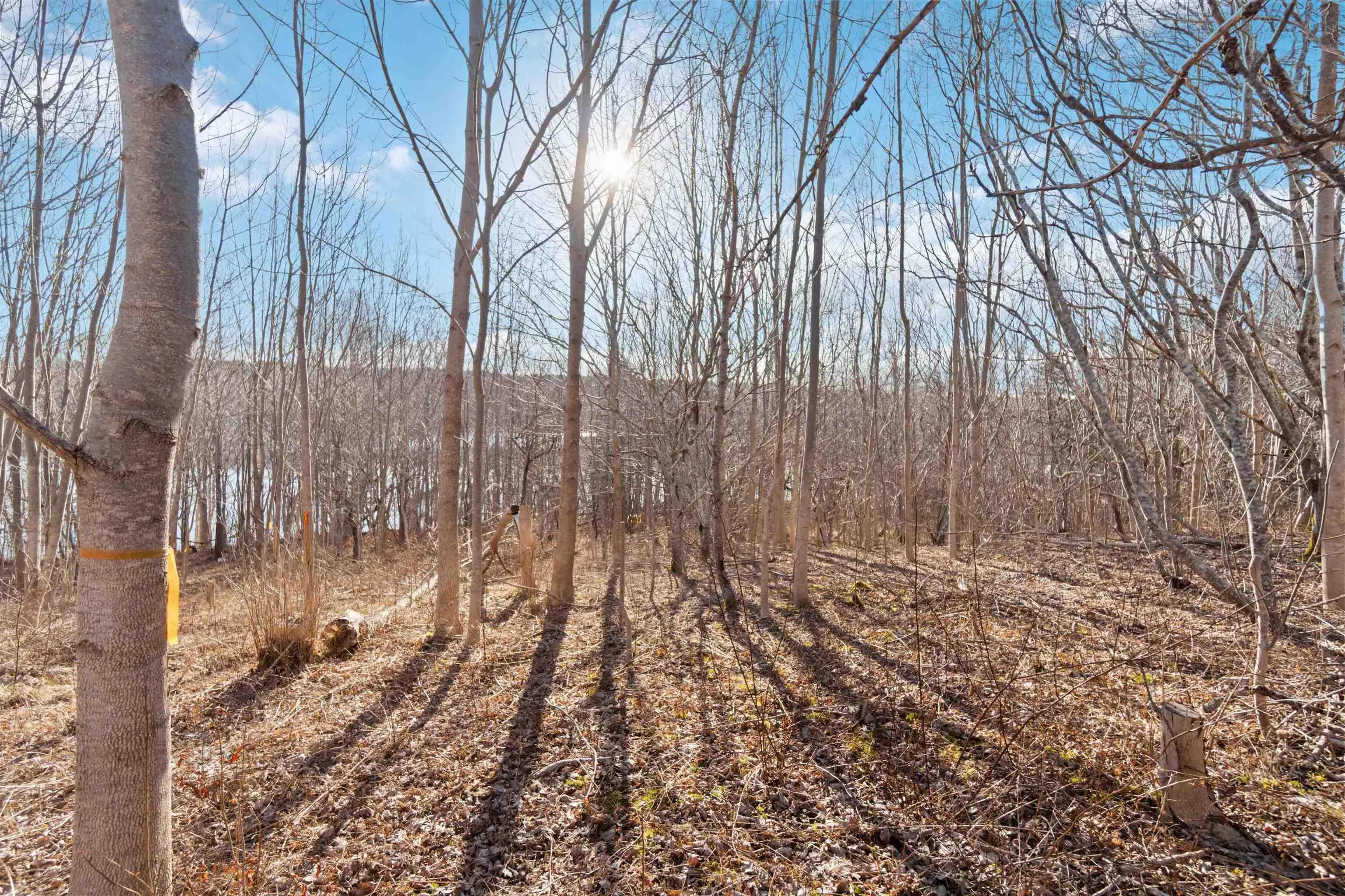 Riverside Road Lot 3, New Edinburgh Ns B0w 3t0, ,Land,For Sale,Riverside,202507617