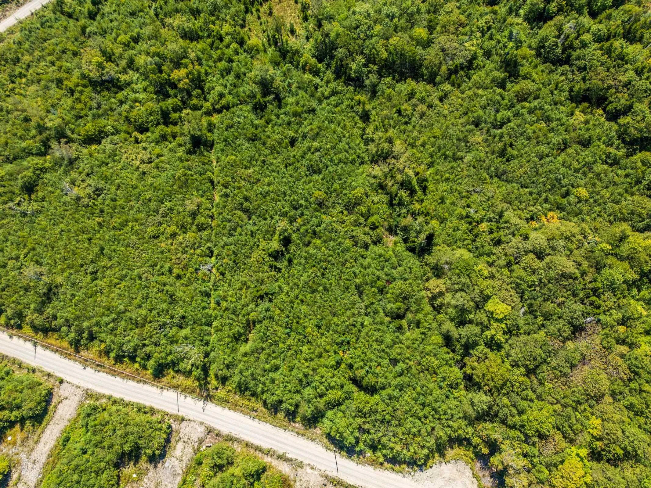Lot 21-16 Second Division Road, Grosses Coques, NS B0W 2J0, ,Land,For Sale,Second Division Road,202522243