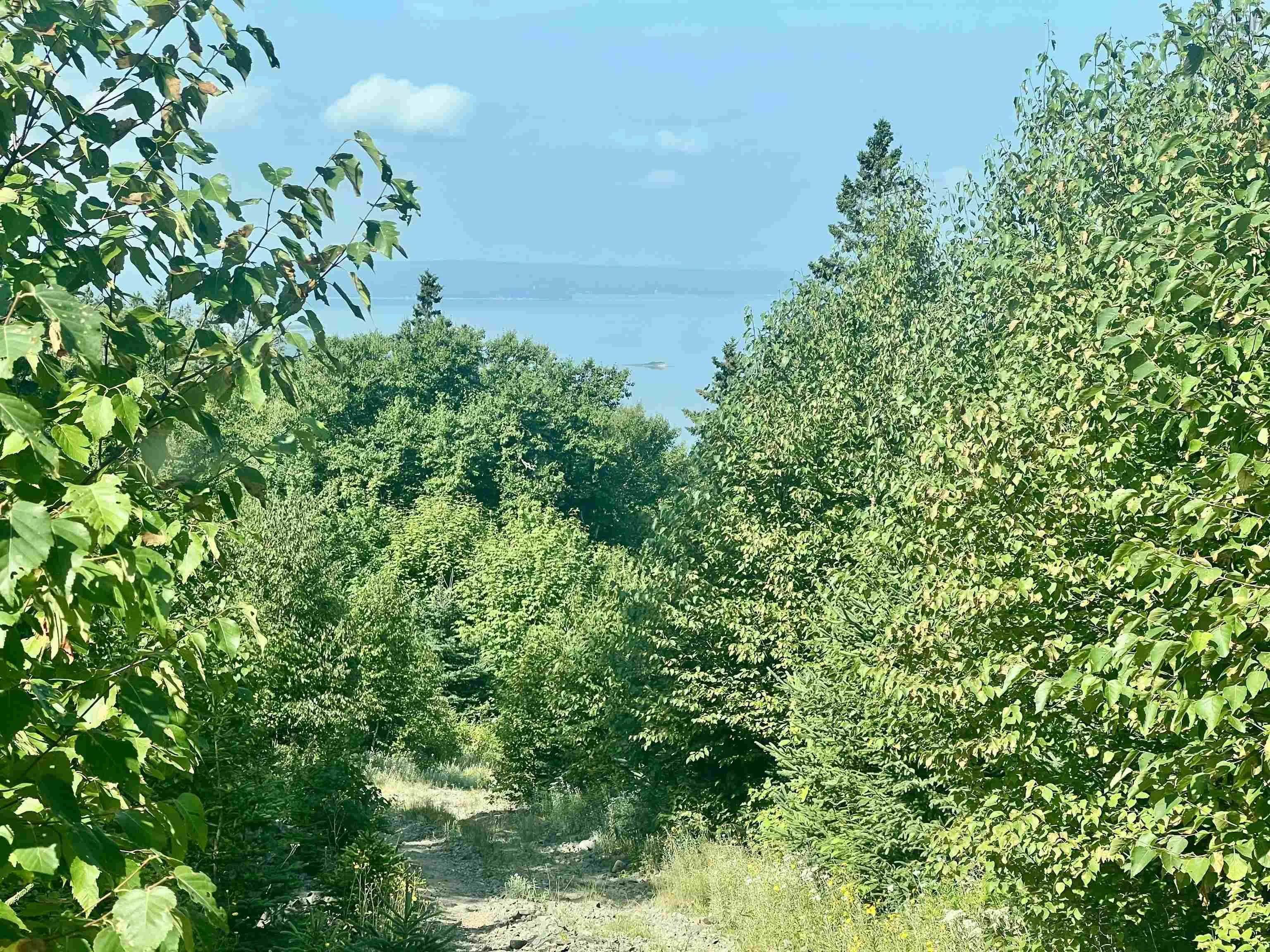 Settlers Bluff, St. Georges Channel, NS B0E 3K0, ,Land,For Sale,Bluff,202519473