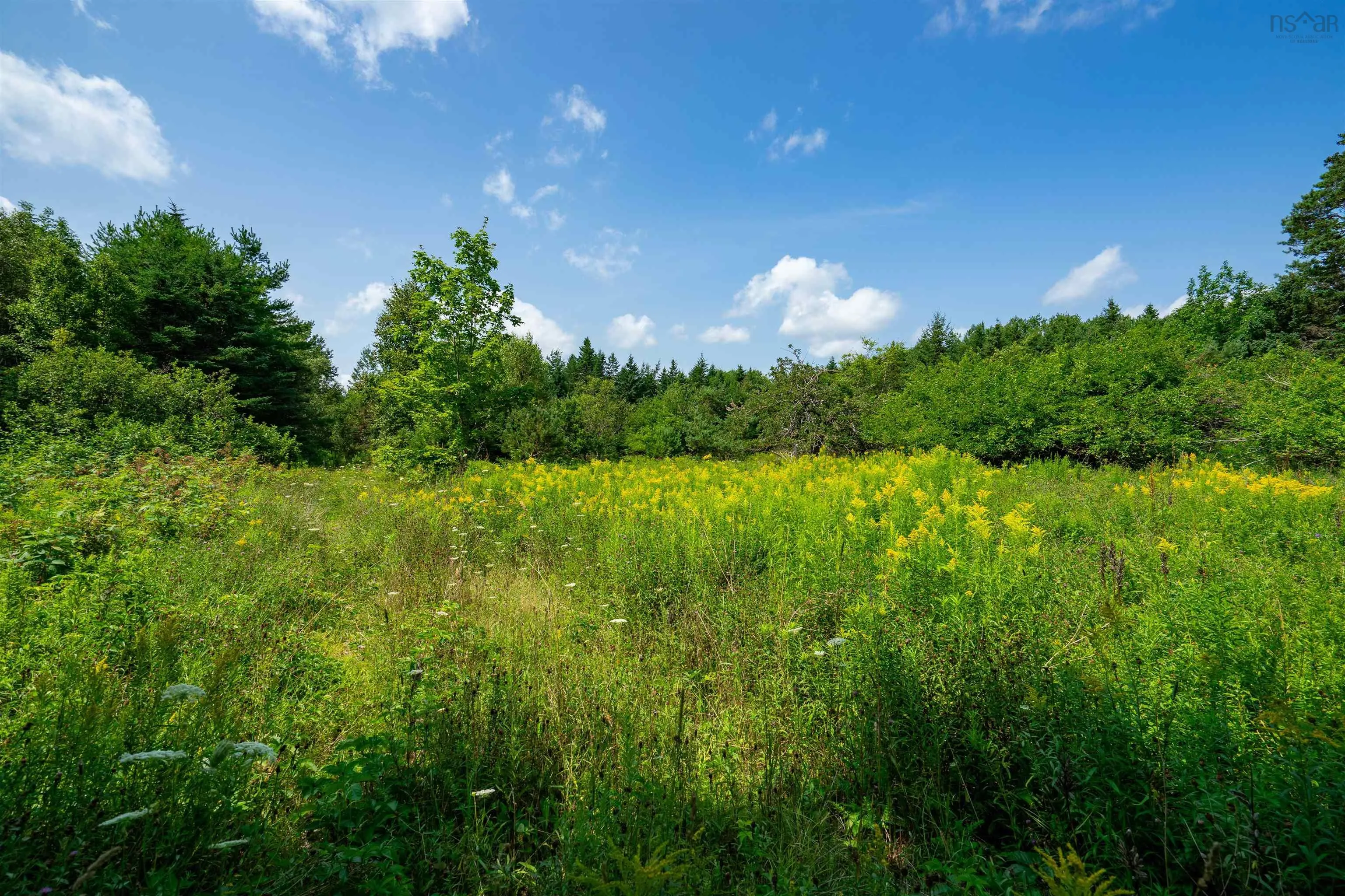 632 Virginia Road, Virginia East Ns B0s 1a0, ,Land,For Sale,Virginia,202418632