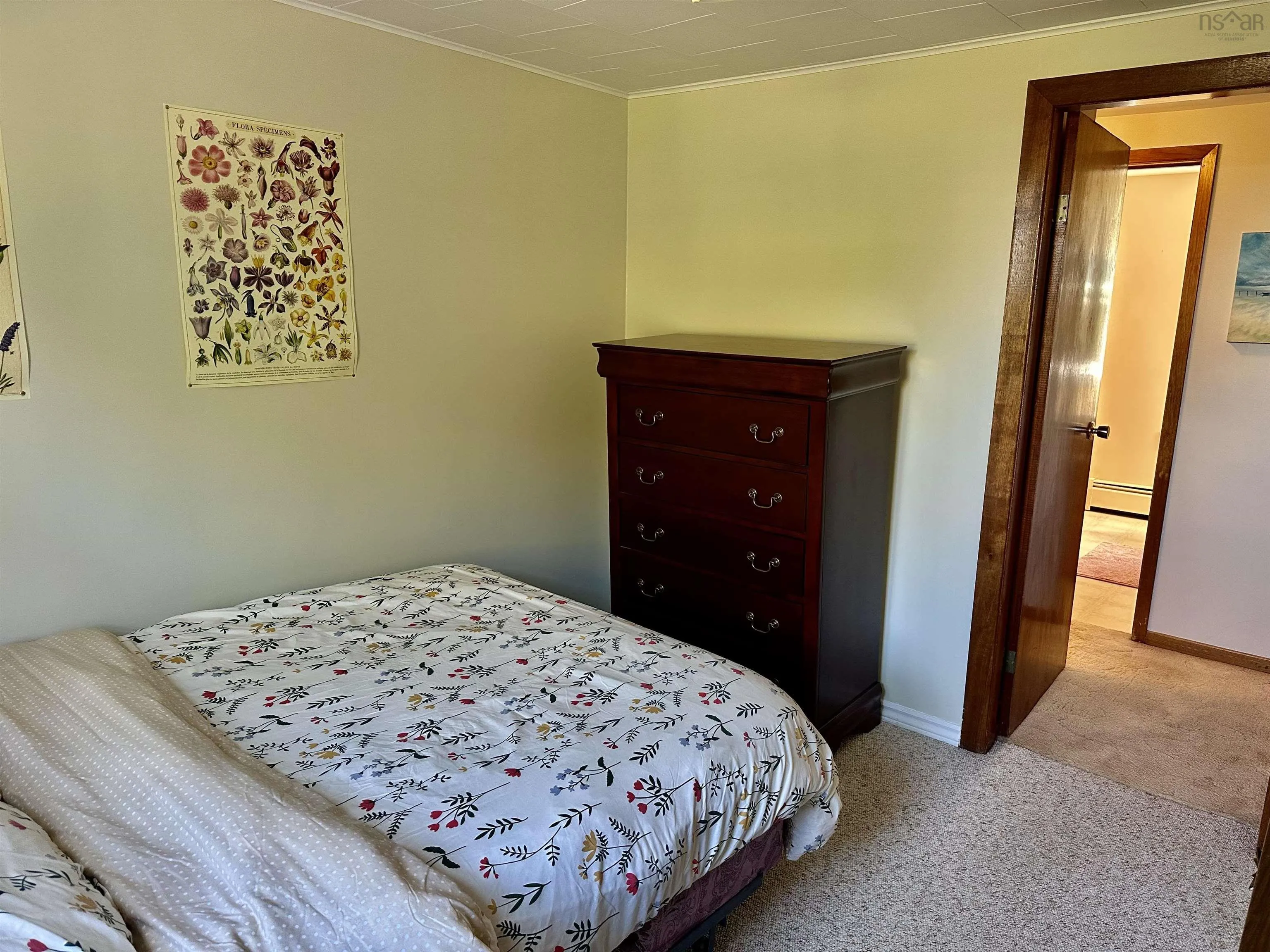 339 Murray Street, Mulgrave, NS B0E 2G0, 3 Bedrooms Bedrooms, ,3 BathroomsBathrooms,Residential,For Sale,Murray,202524953