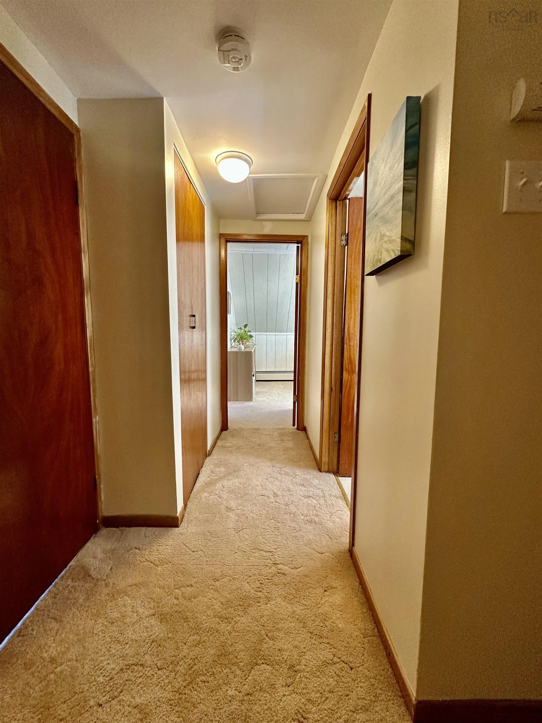 339 Murray Street, Mulgrave, NS B0E 2G0, 3 Bedrooms Bedrooms, ,3 BathroomsBathrooms,Residential,For Sale,Murray,202524953
