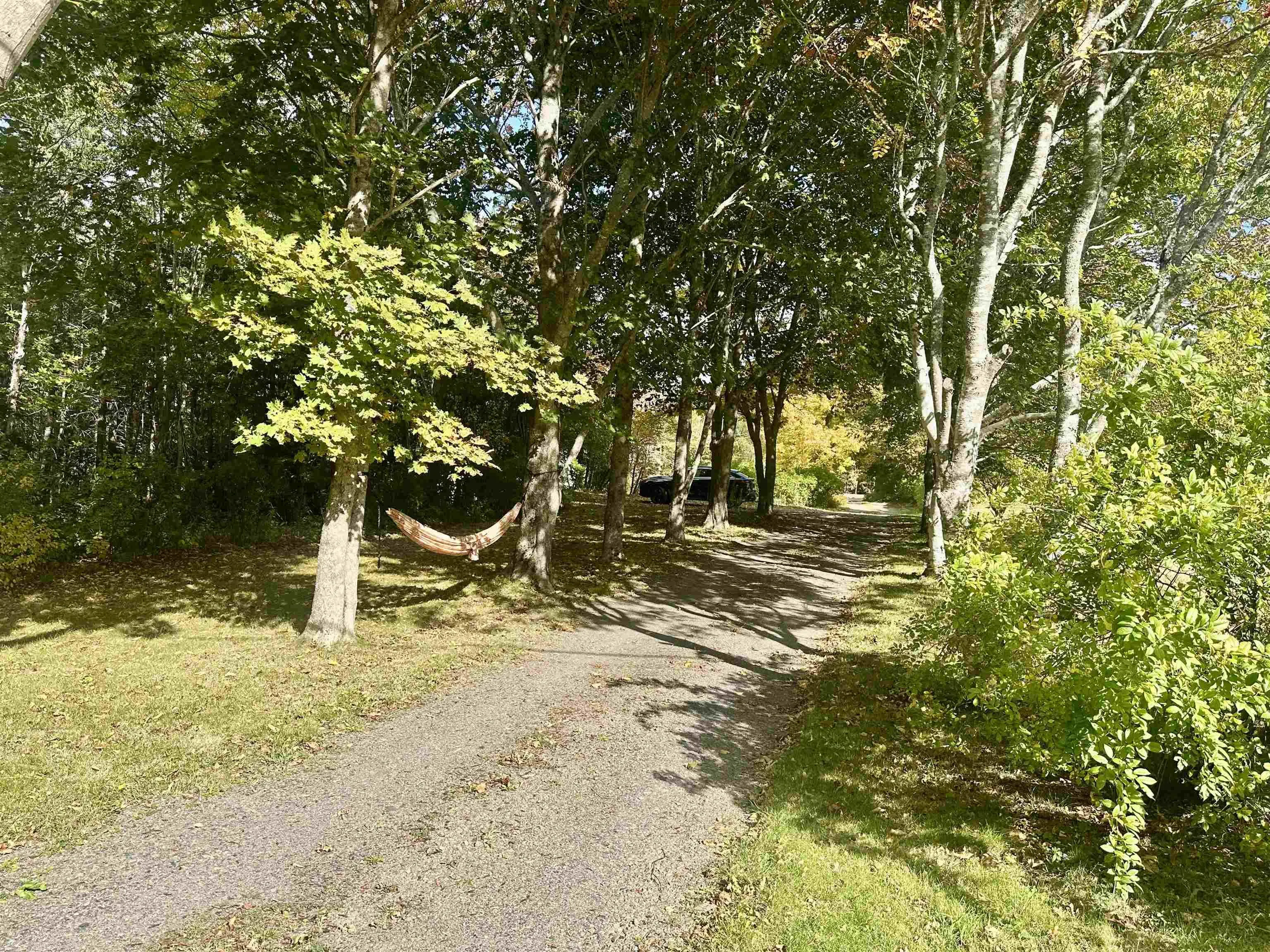 339 Murray Street, Mulgrave, NS B0E 2G0, 3 Bedrooms Bedrooms, ,3 BathroomsBathrooms,Residential,For Sale,Murray,202524953