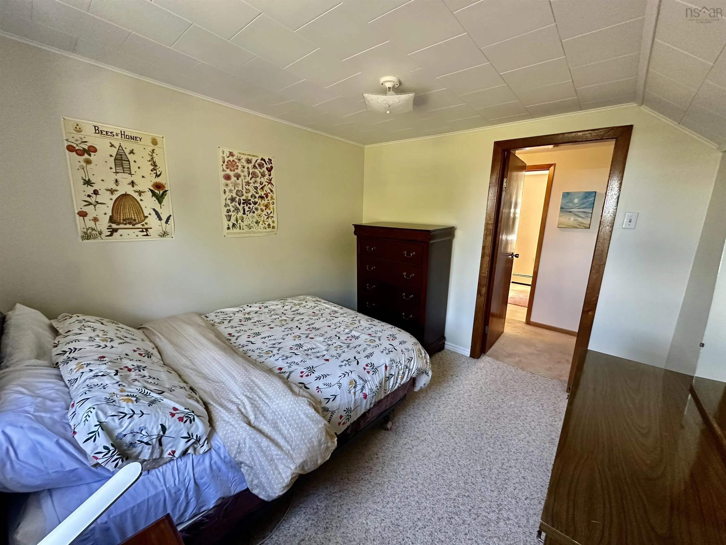 339 Murray Street, Mulgrave, NS B0E 2G0, 3 Bedrooms Bedrooms, ,3 BathroomsBathrooms,Residential,For Sale,Murray,202524953
