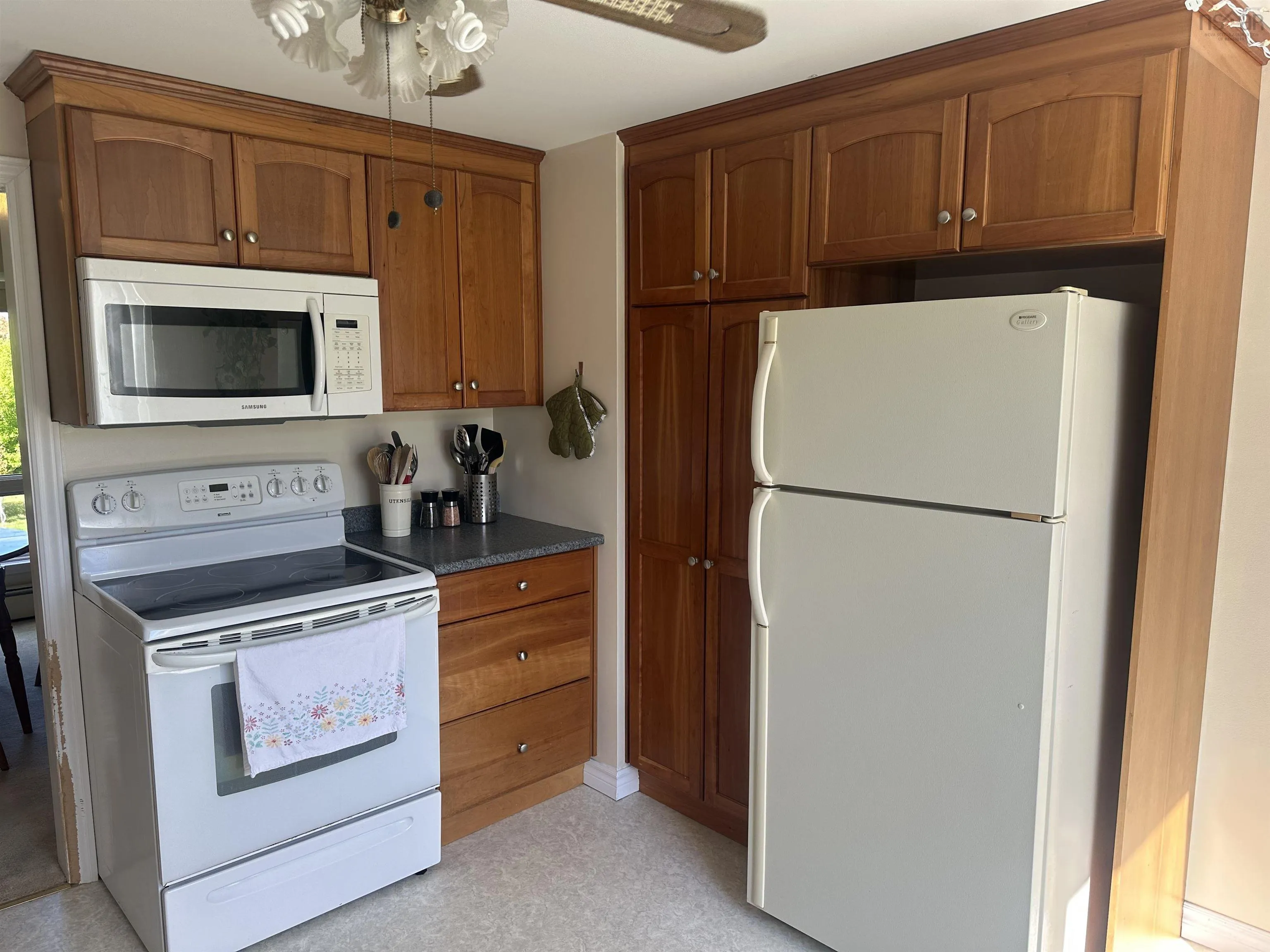 339 Murray Street, Mulgrave, NS B0E 2G0, 3 Bedrooms Bedrooms, ,3 BathroomsBathrooms,Residential,For Sale,Murray,202524953