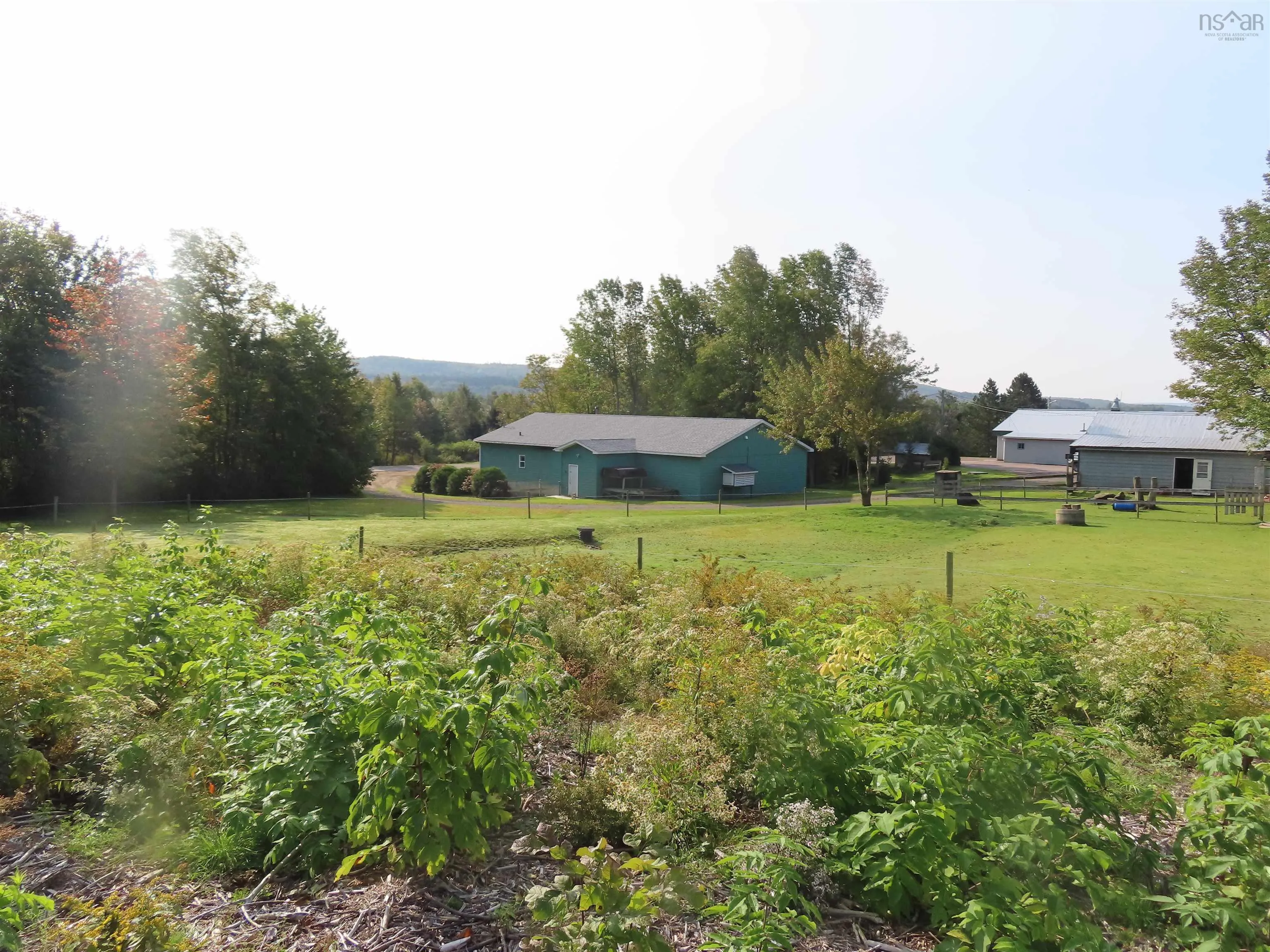 3653 Highway 316, St Andrew's Ns B0h 1x0, 3 Bedrooms Bedrooms, ,2 BathroomsBathrooms,Farm,For Sale,Highway 316,202322471