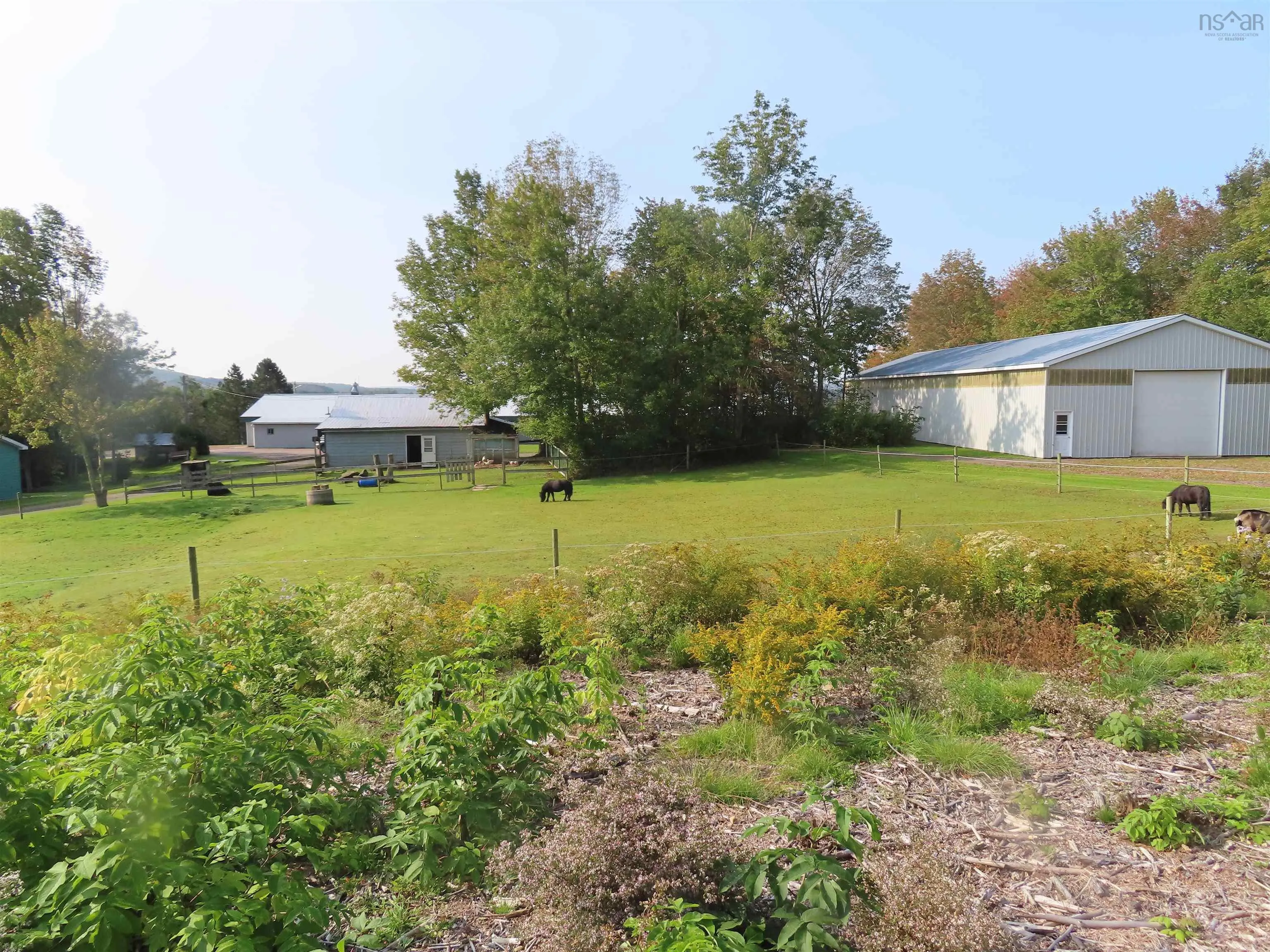3653 Highway 316, St Andrew's Ns B0h 1x0, 3 Bedrooms Bedrooms, ,2 BathroomsBathrooms,Farm,For Sale,Highway 316,202322471