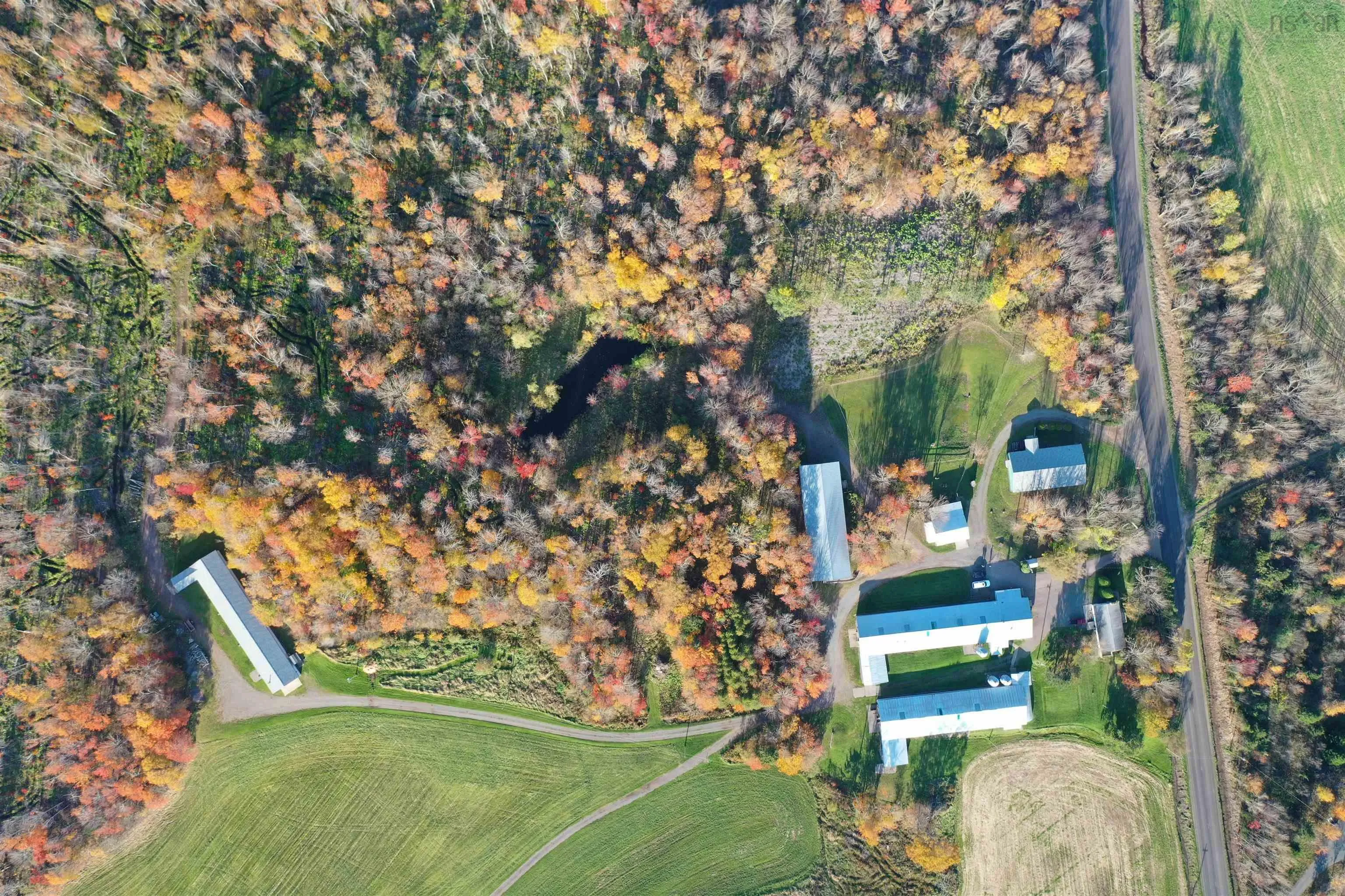 3653 Highway 316, St Andrew's Ns B0h 1x0, 3 Bedrooms Bedrooms, ,2 BathroomsBathrooms,Farm,For Sale,Highway 316,202322471