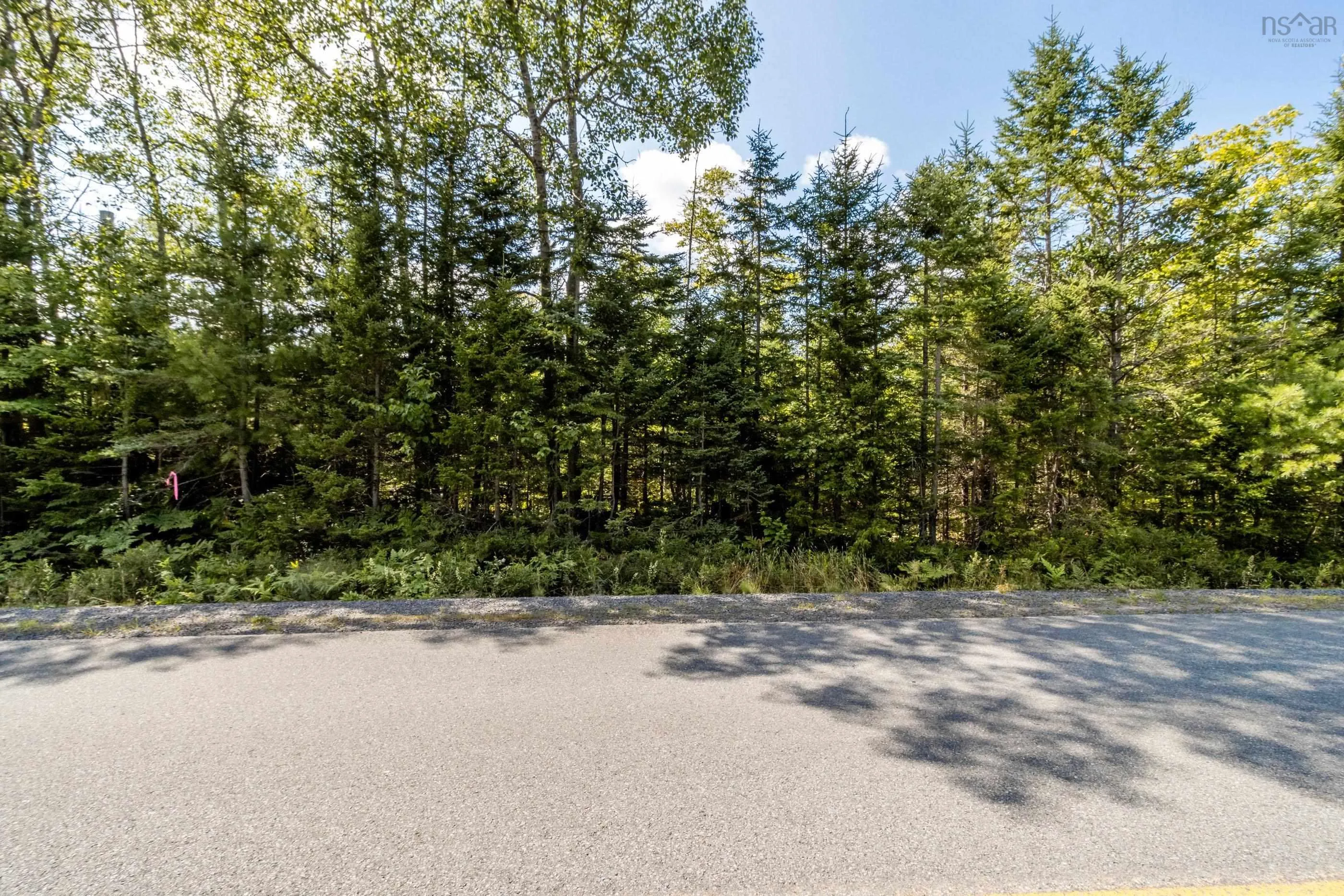 Aylesford Road Lot 2, Morristown Ns B0p 1c0, ,Land,For Sale,Aylesford,202421063