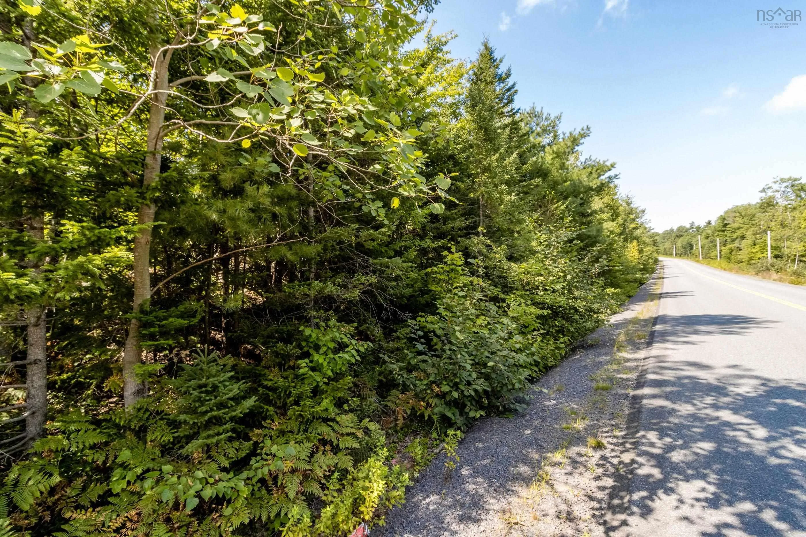 Aylesford Road Lot 2, Morristown Ns B0p 1c0, ,Land,For Sale,Aylesford,202421063
