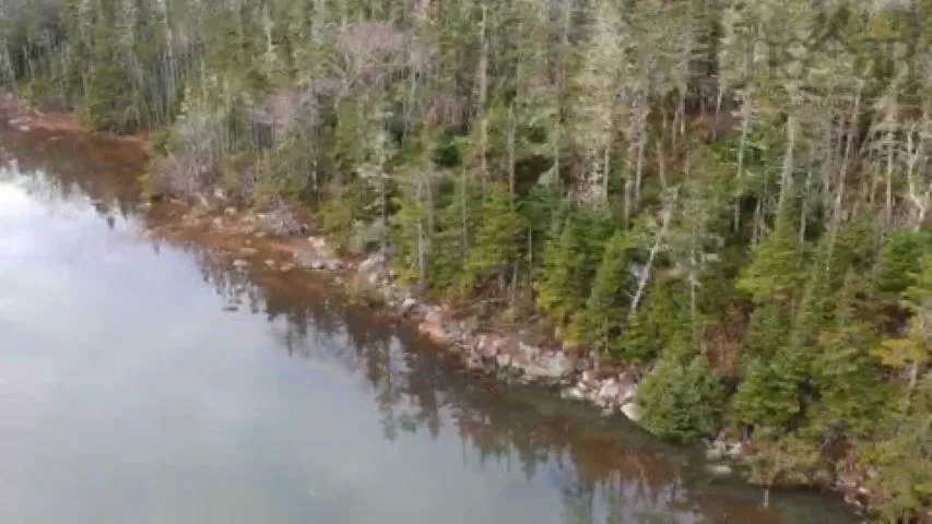 Westside Inlet Drive, West Petpeswick Ns B0j 2l0, ,Land,For Sale,Westside Inlet,202405671