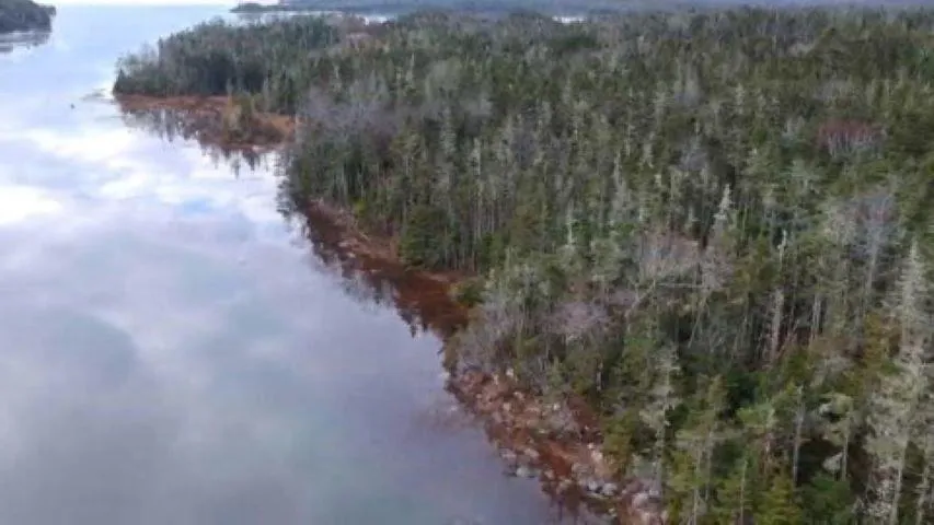 Westside Inlet Drive, West Petpeswick Ns B0j 2l0, ,Land,For Sale,Westside Inlet,202405671