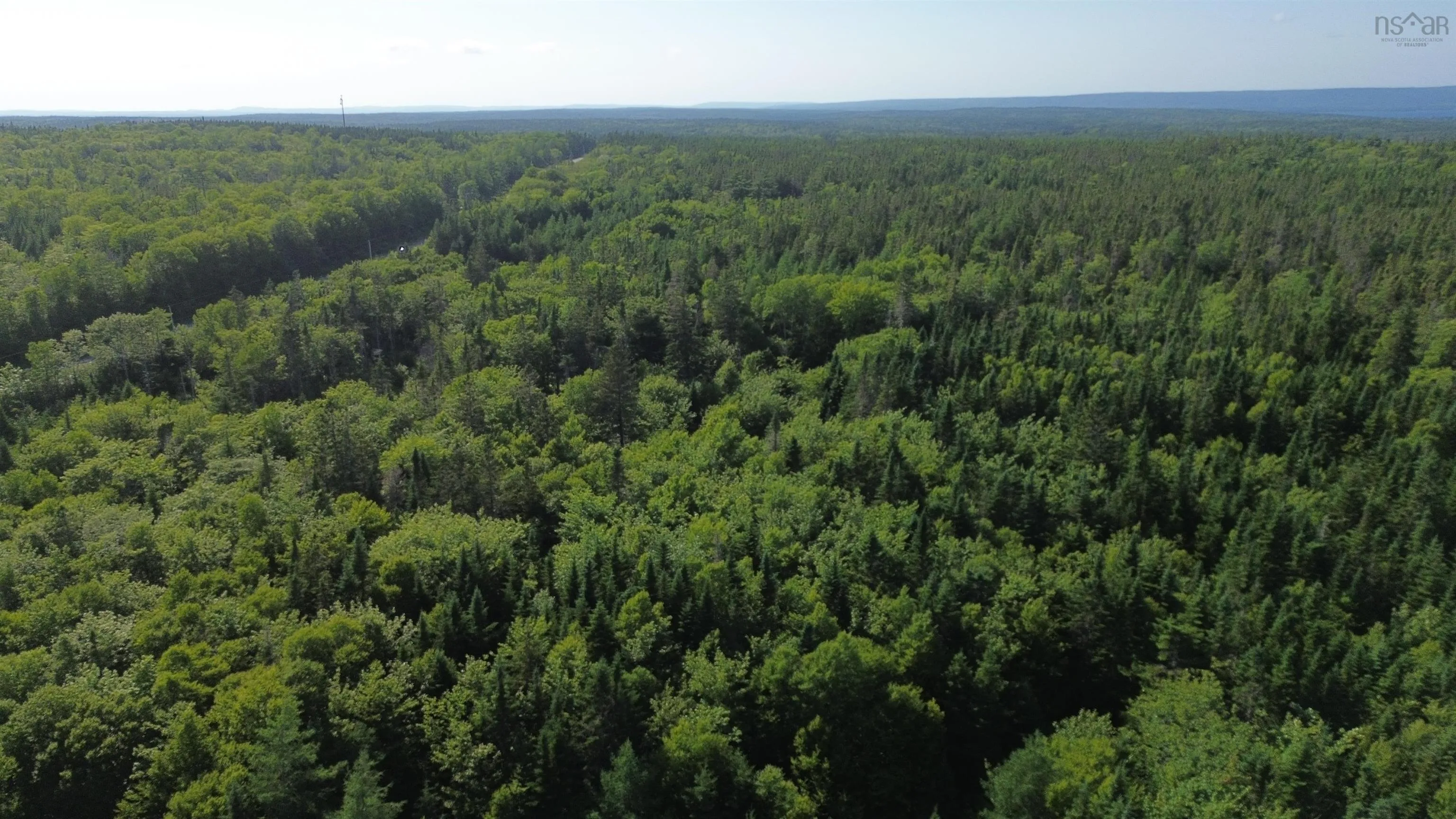 Black River Road, Grande Anse, NS B0E 1V0, ,Land,For Sale,Black River,202517525