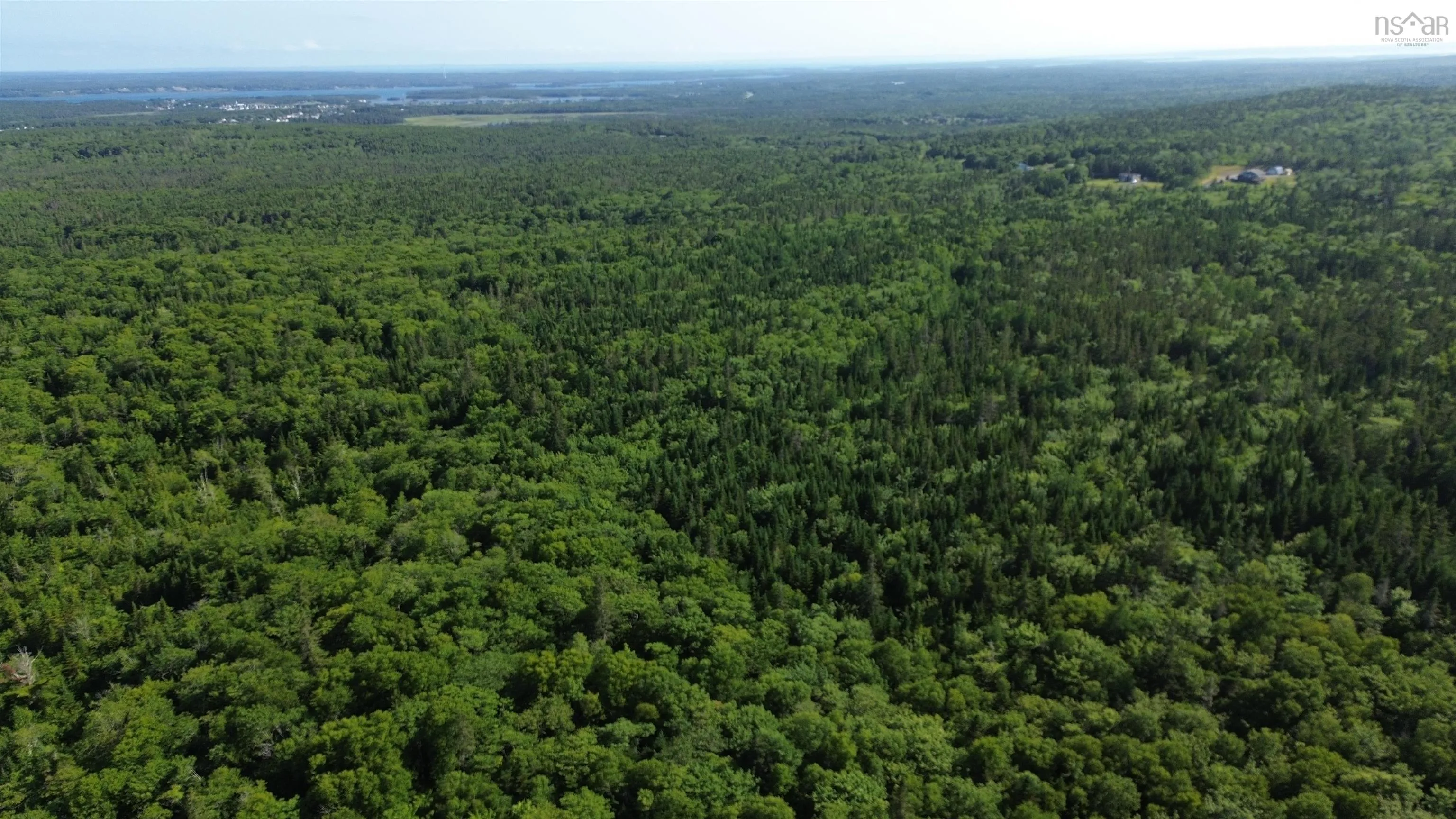 Black River Road, Grande Anse, NS B0E 1V0, ,Land,For Sale,Black River,202517525