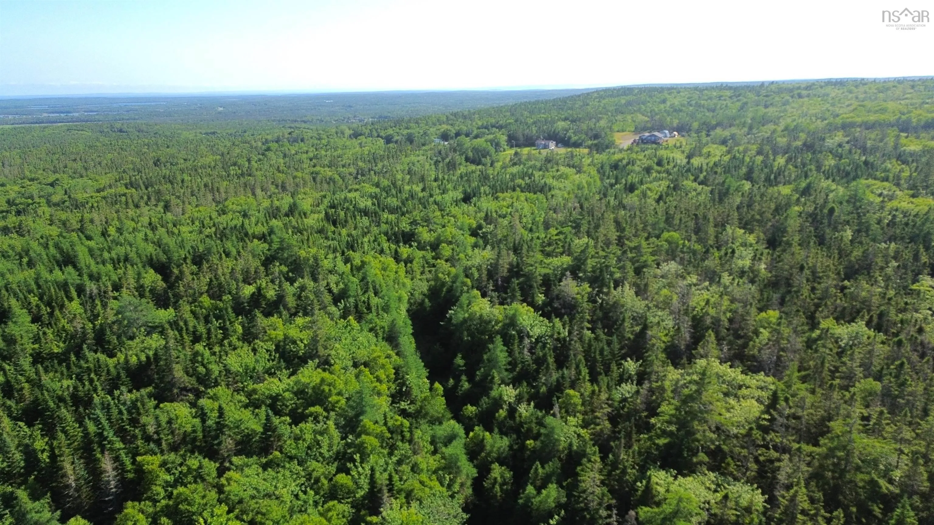 Black River Road, Grande Anse, NS B0E 1V0, ,Land,For Sale,Black River,202517525