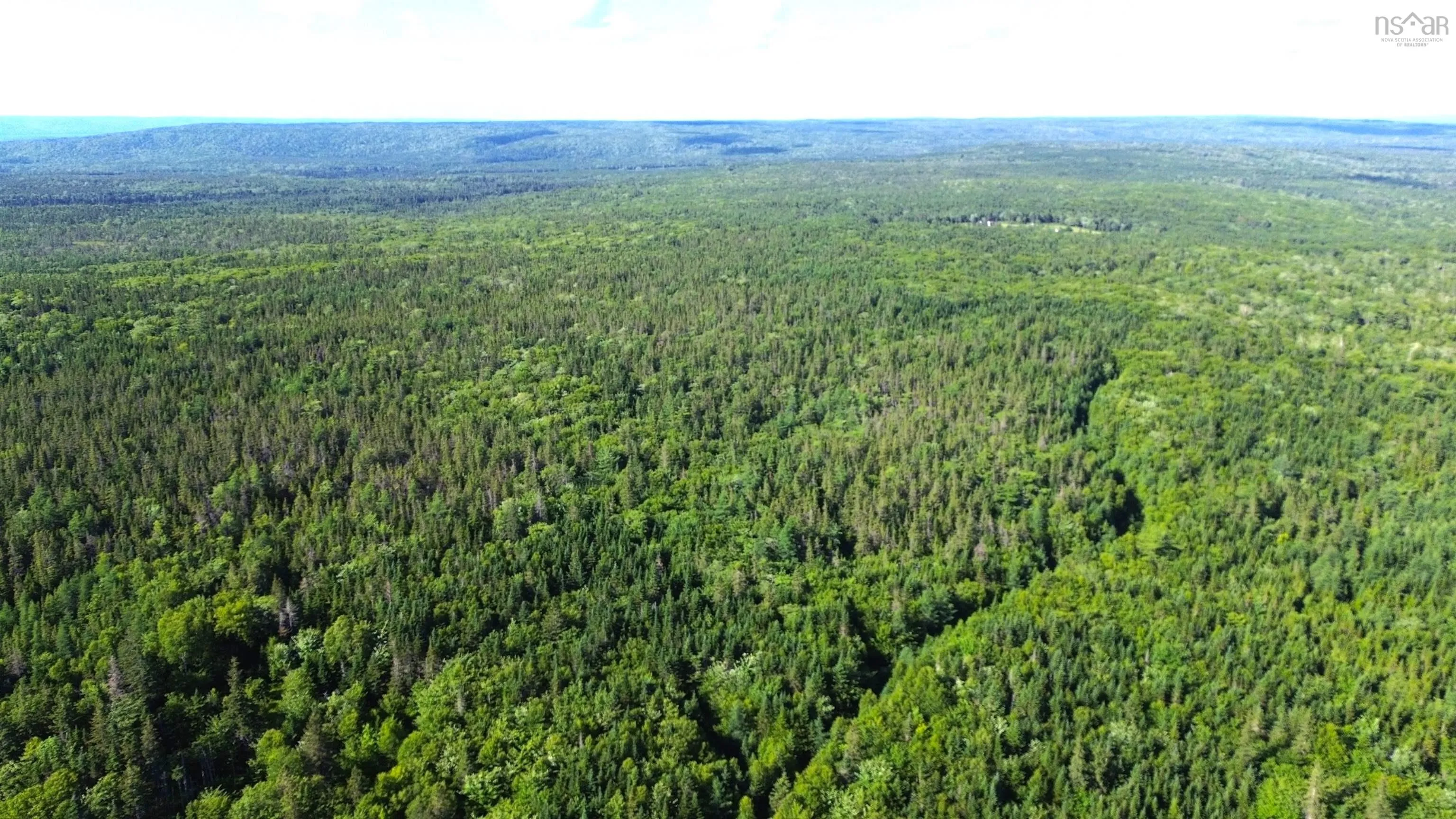 Black River Road, Grande Anse, NS B0E 1V0, ,Land,For Sale,Black River,202517525