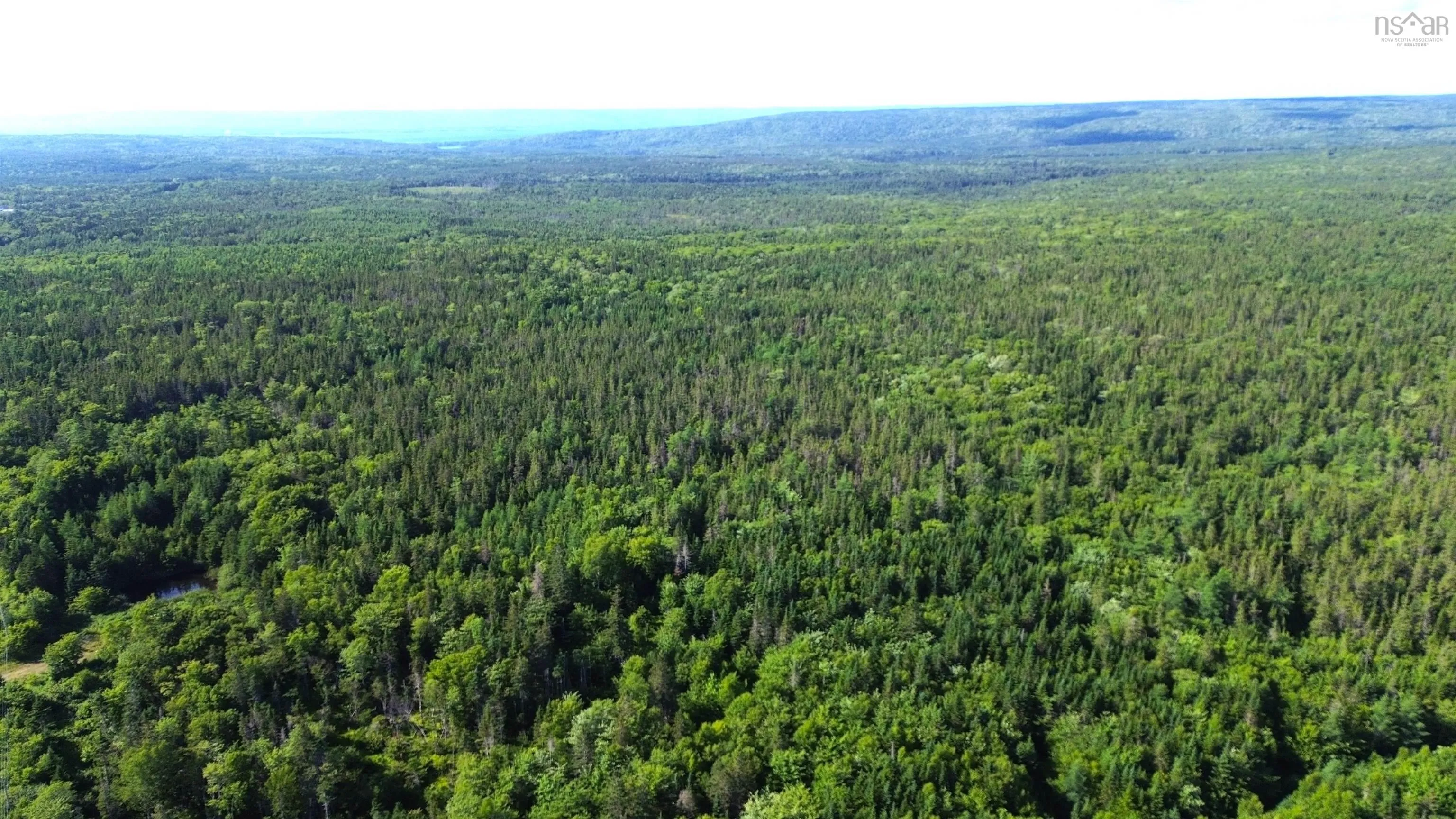 Black River Road, Grande Anse, NS B0E 1V0, ,Land,For Sale,Black River,202517525