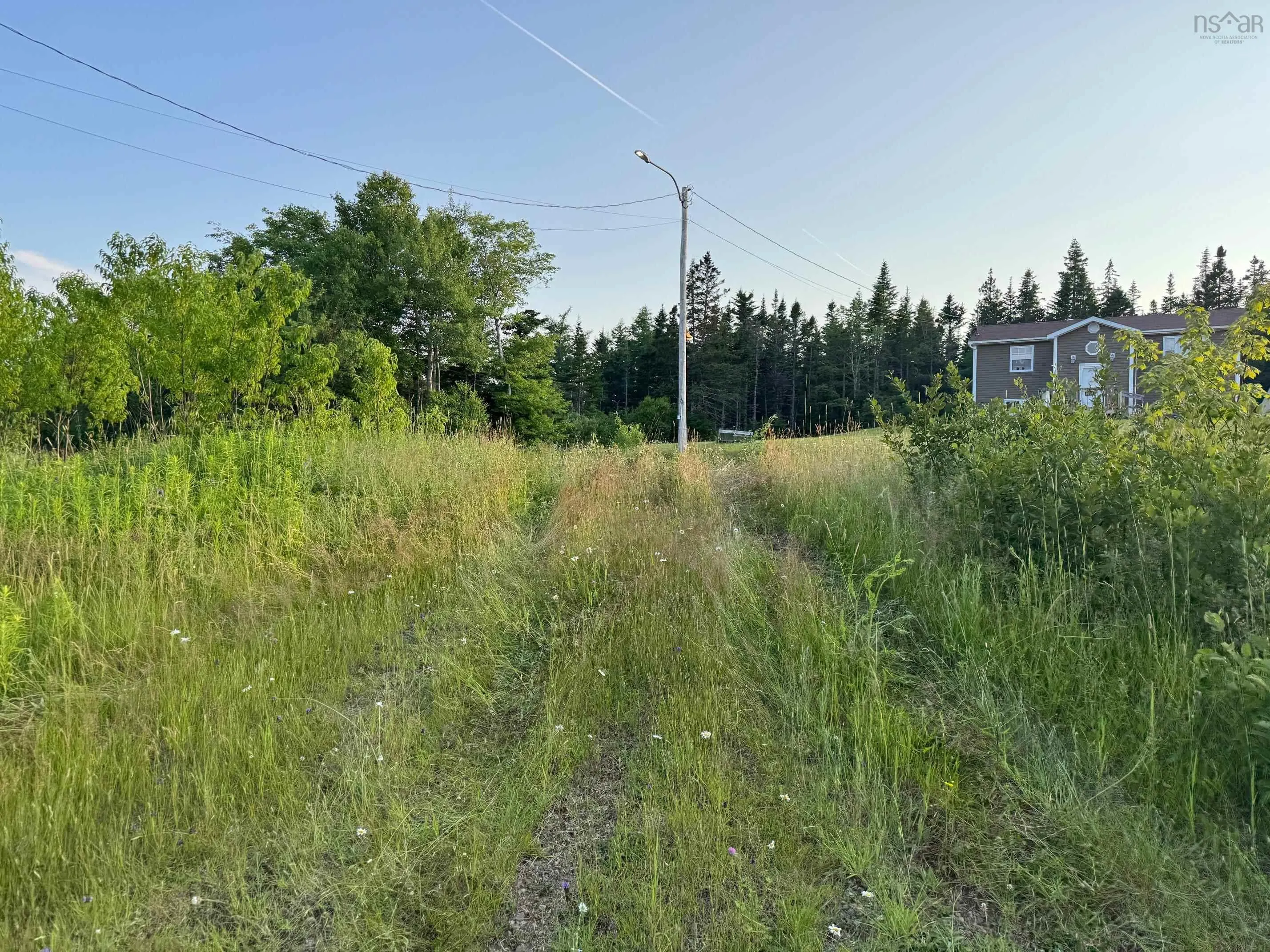 Black River Road, Grande Anse, NS B0E 1V0, ,Land,For Sale,Black River,202517525