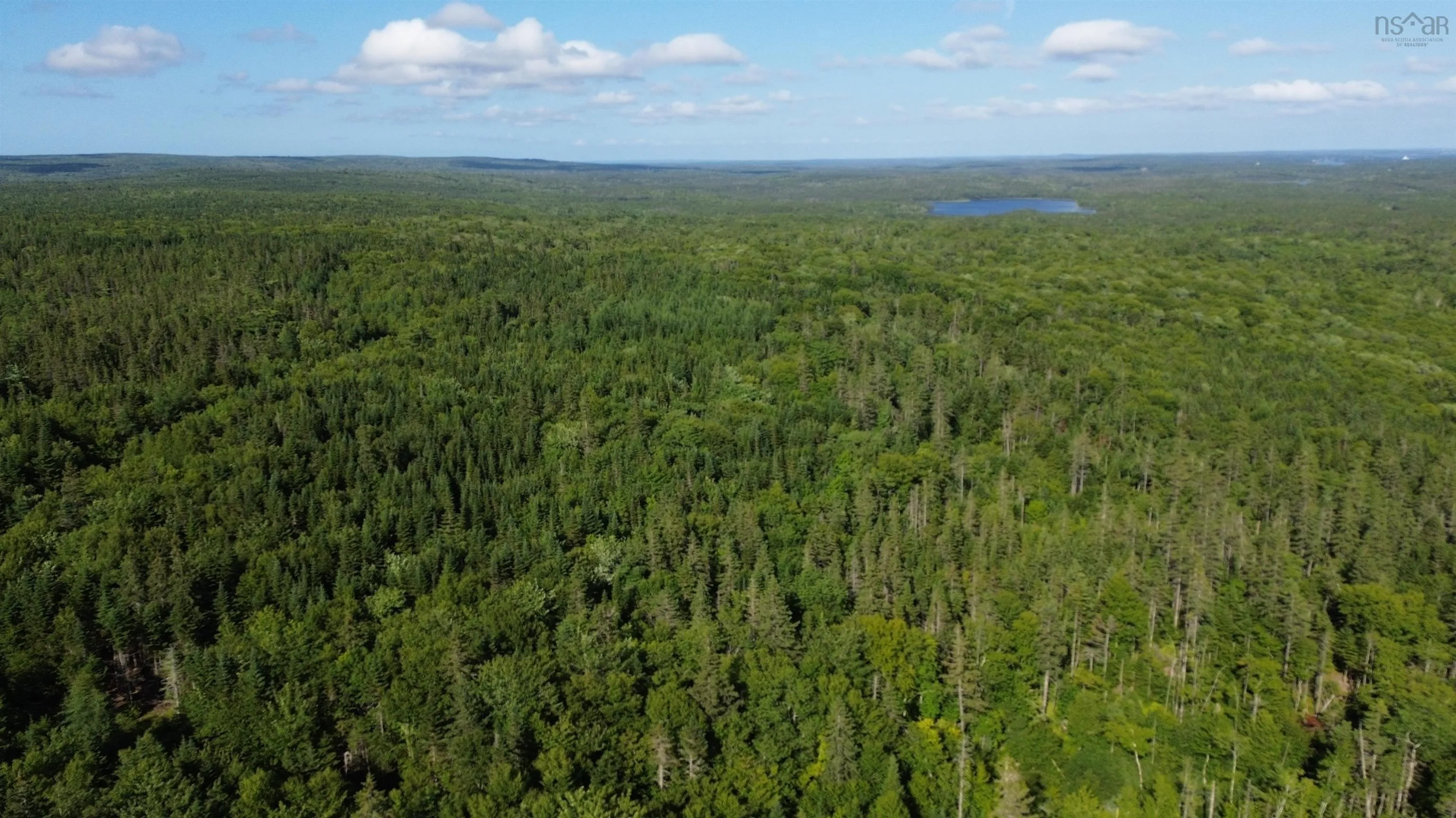 Black River Road, Grande Anse, NS B0E 1V0, ,Land,For Sale,Black River,202517525