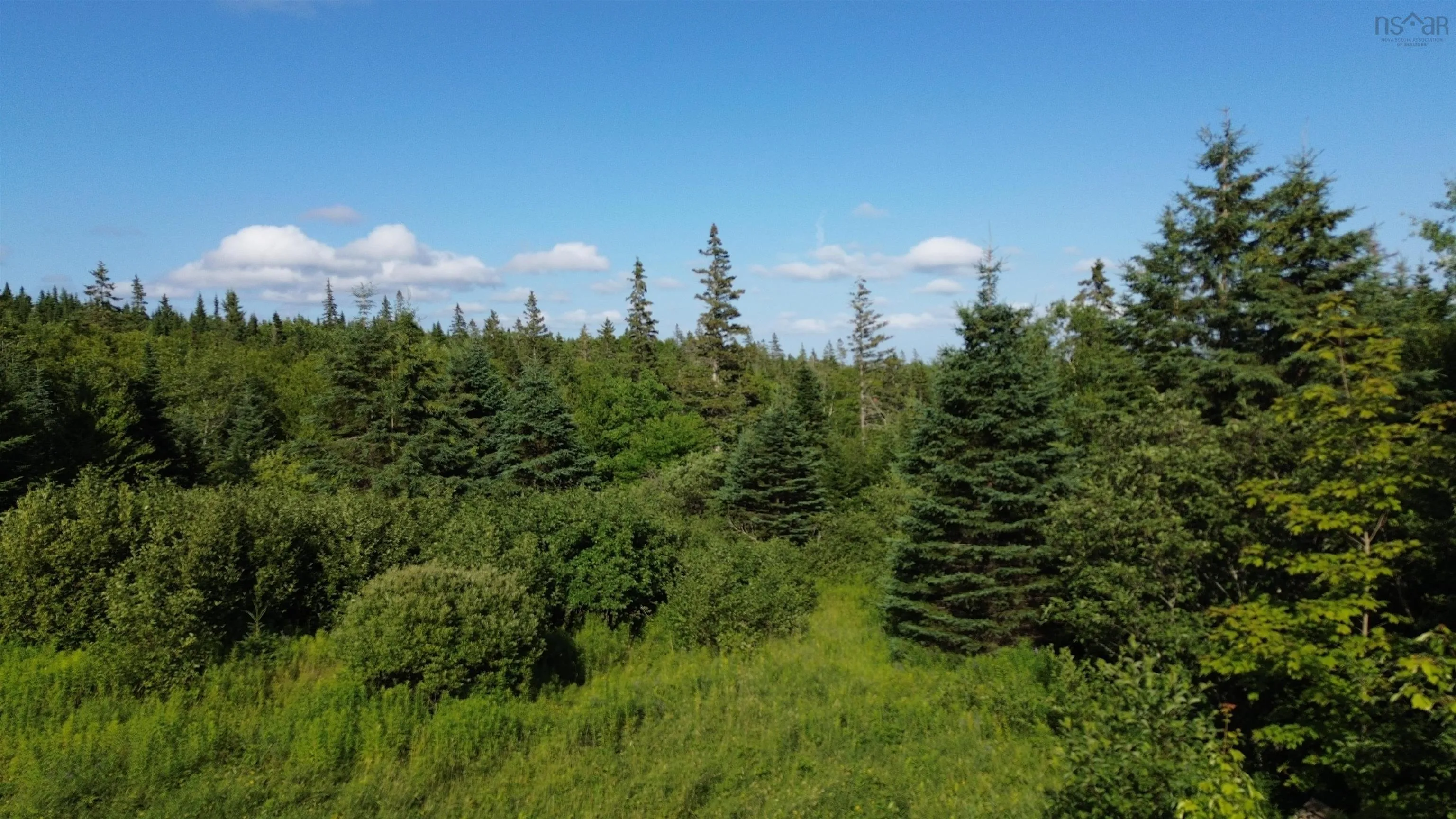 Black River Road, Grande Anse, NS B0E 1V0, ,Land,For Sale,Black River,202517525