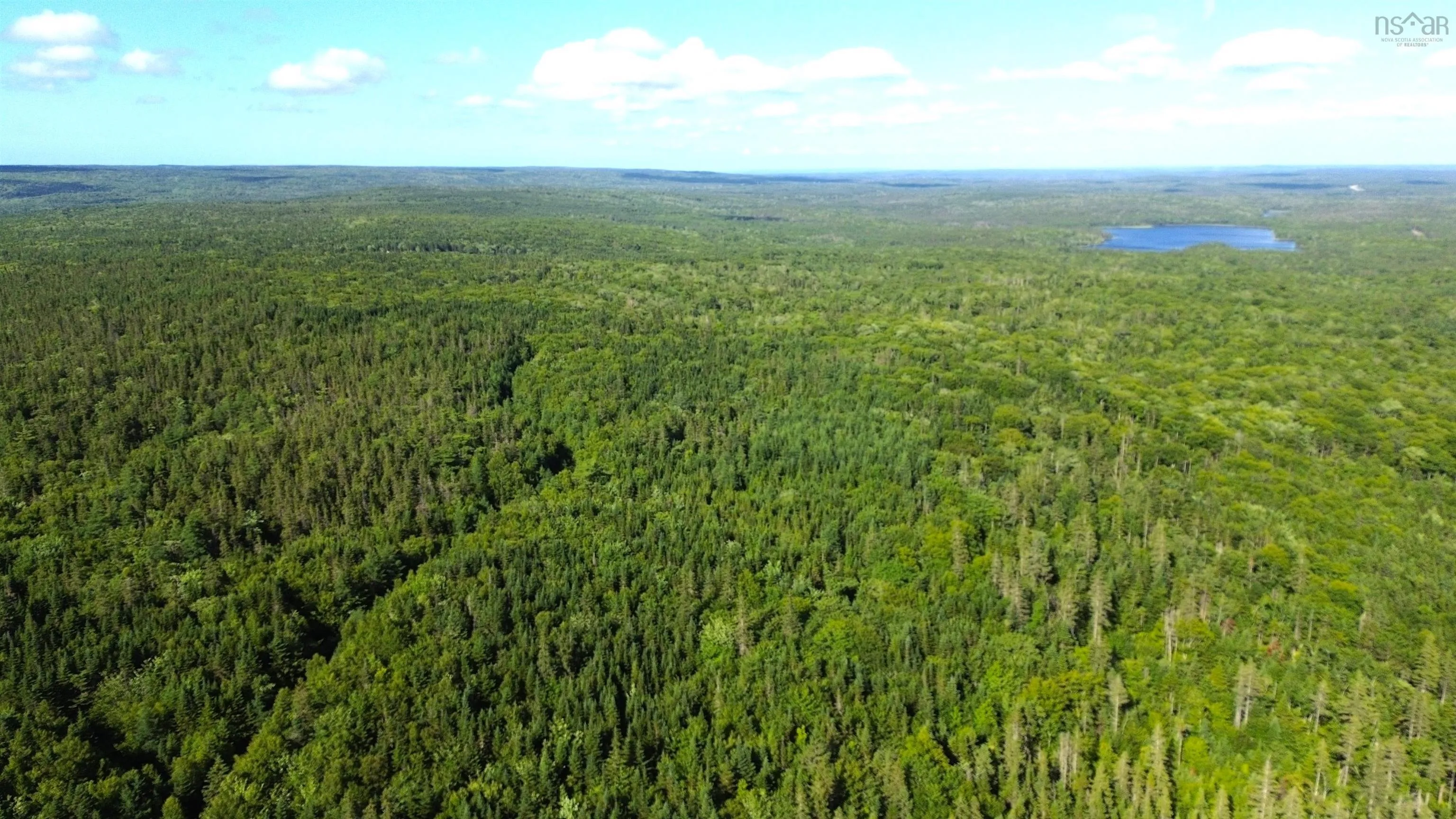 Black River Road, Grande Anse, NS B0E 1V0, ,Land,For Sale,Black River,202517525