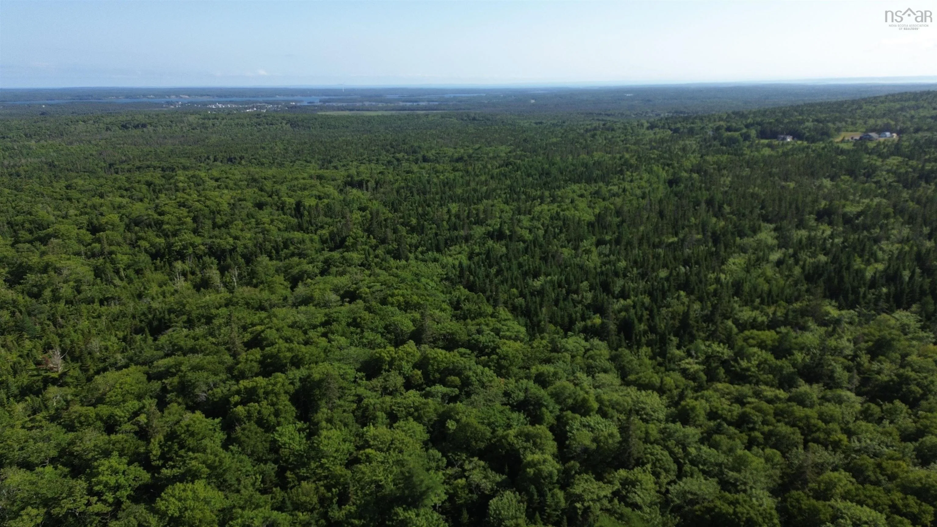 Black River Road, Grande Anse, NS B0E 1V0, ,Land,For Sale,Black River,202517525