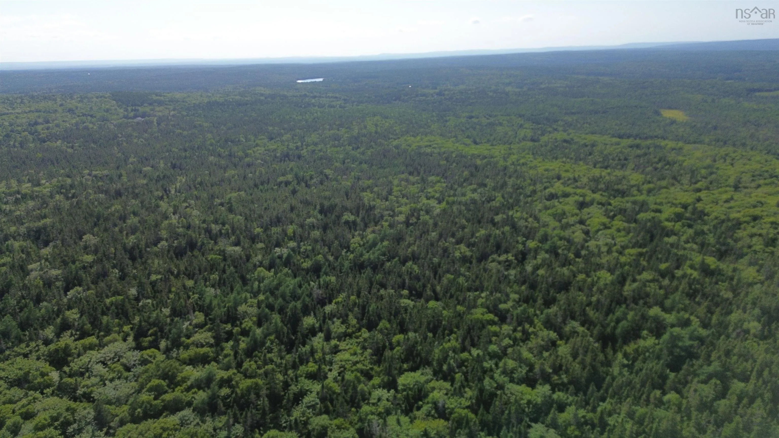 Black River Road, Grande Anse, NS B0E 1V0, ,Land,For Sale,Black River,202517525