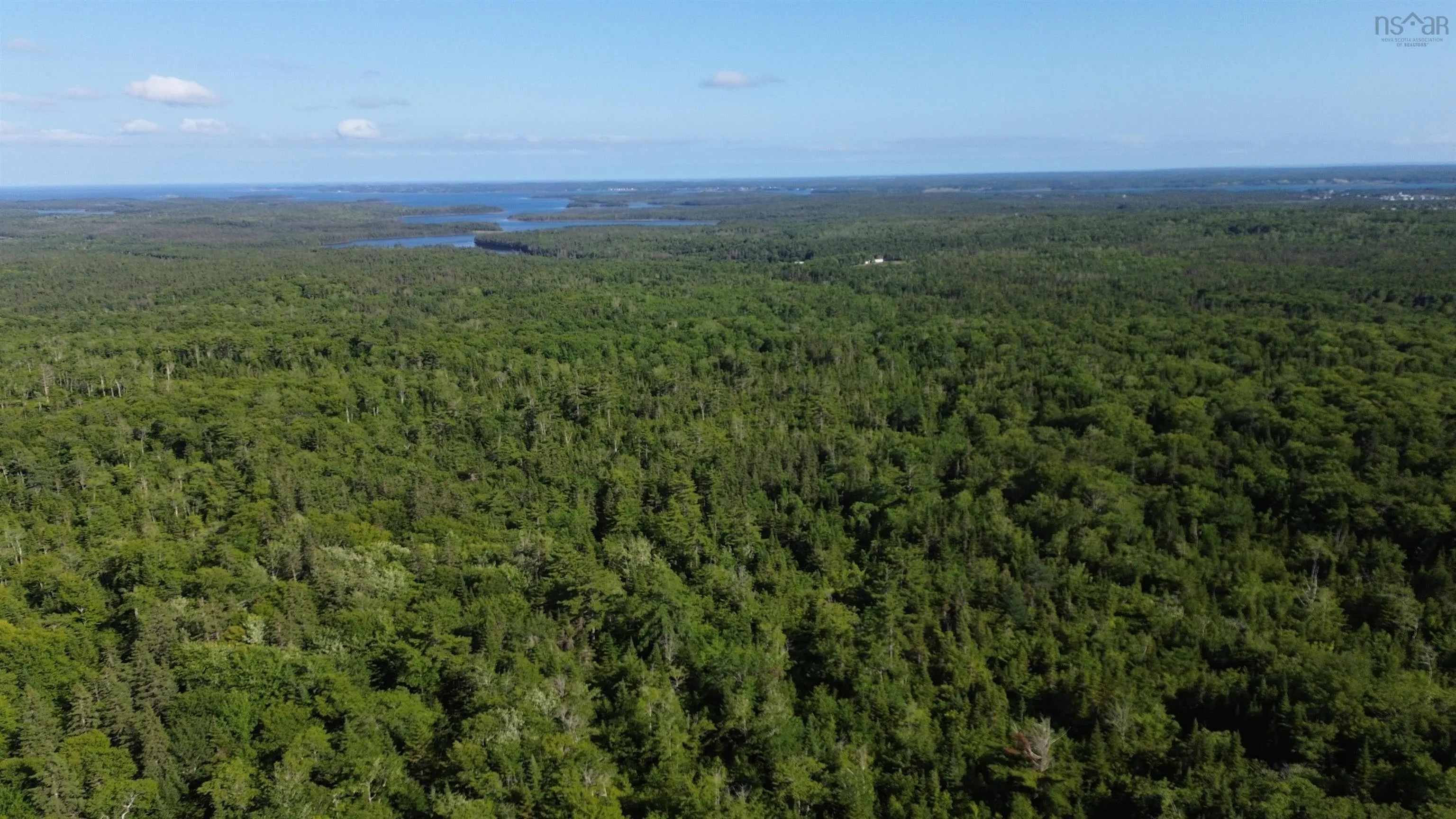 Black River Road, Grande Anse, NS B0E 1V0, ,Land,For Sale,Black River,202517525