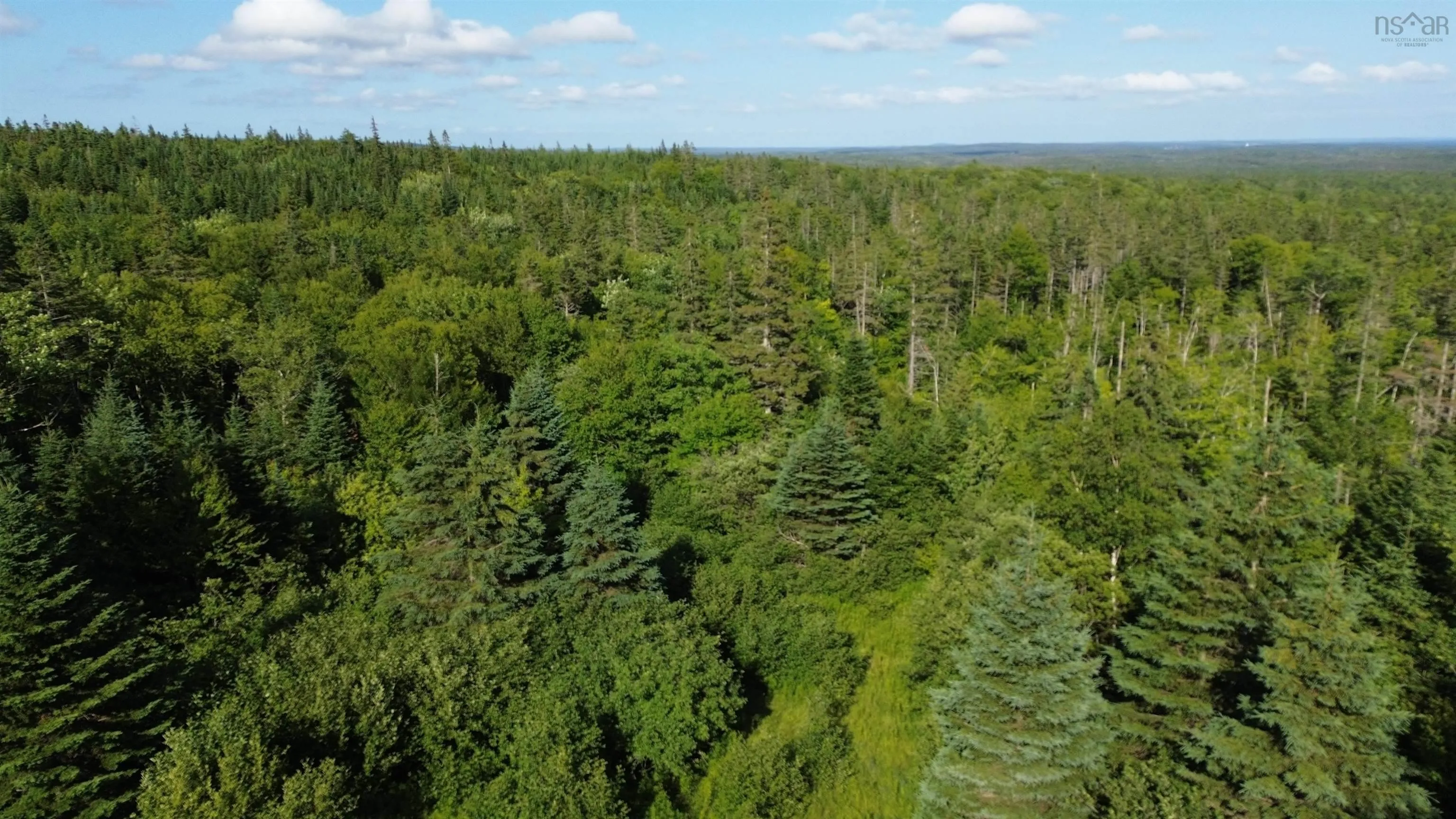 Black River Road, Grande Anse, NS B0E 1V0, ,Land,For Sale,Black River,202517525