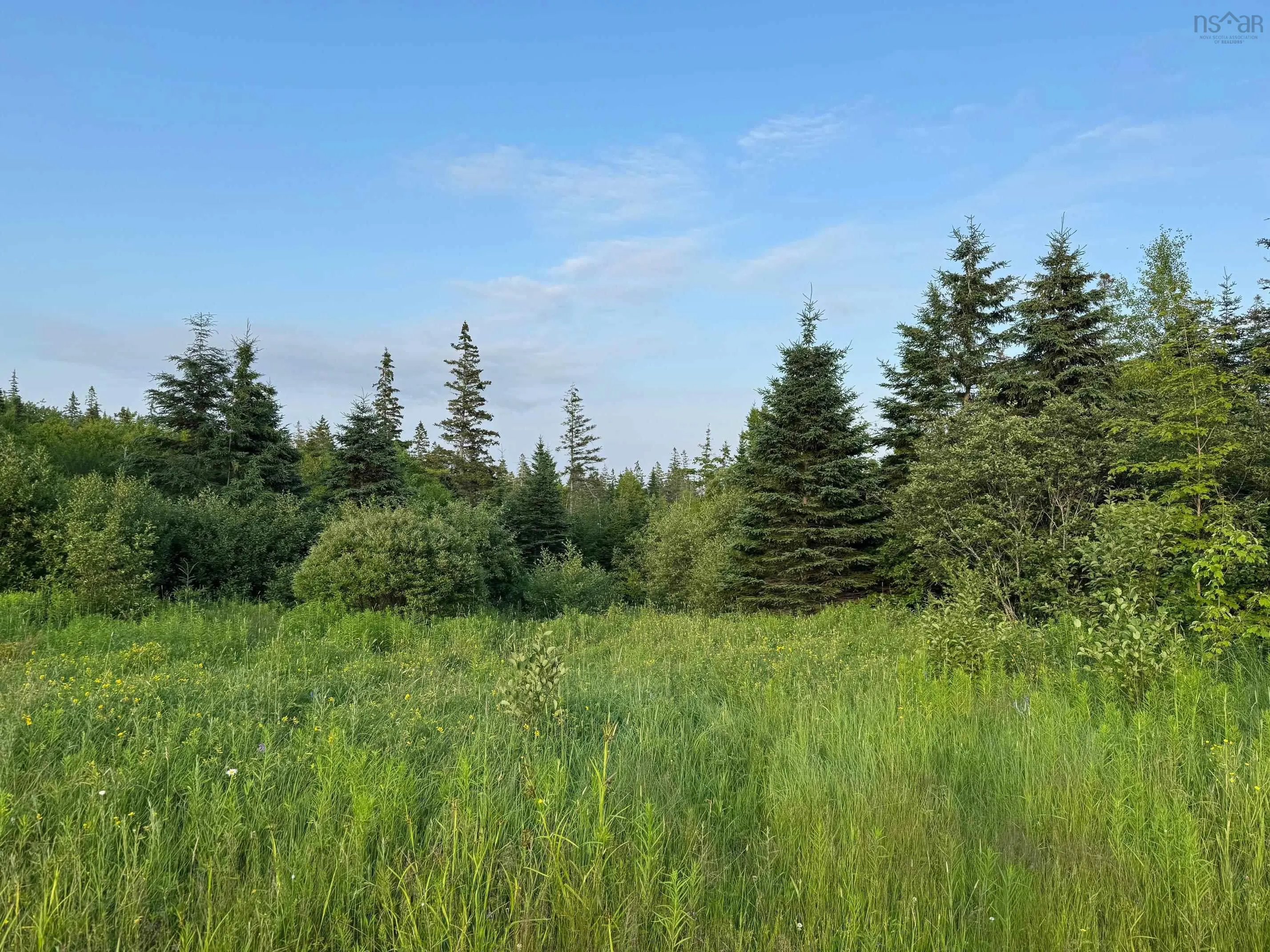 Black River Road, Grande Anse, NS B0E 1V0, ,Land,For Sale,Black River,202517525