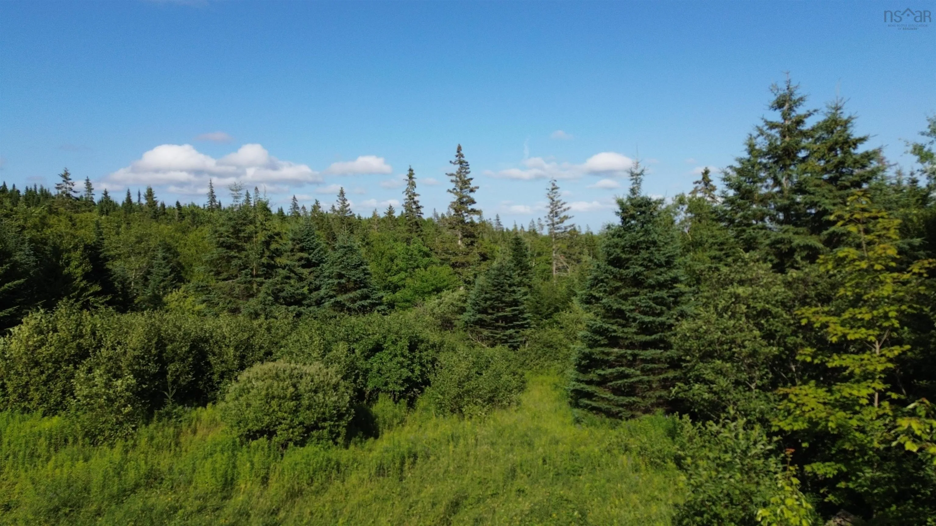 Black River Road, Grande Anse, NS B0E 1V0, ,Land,For Sale,Black River,202517525