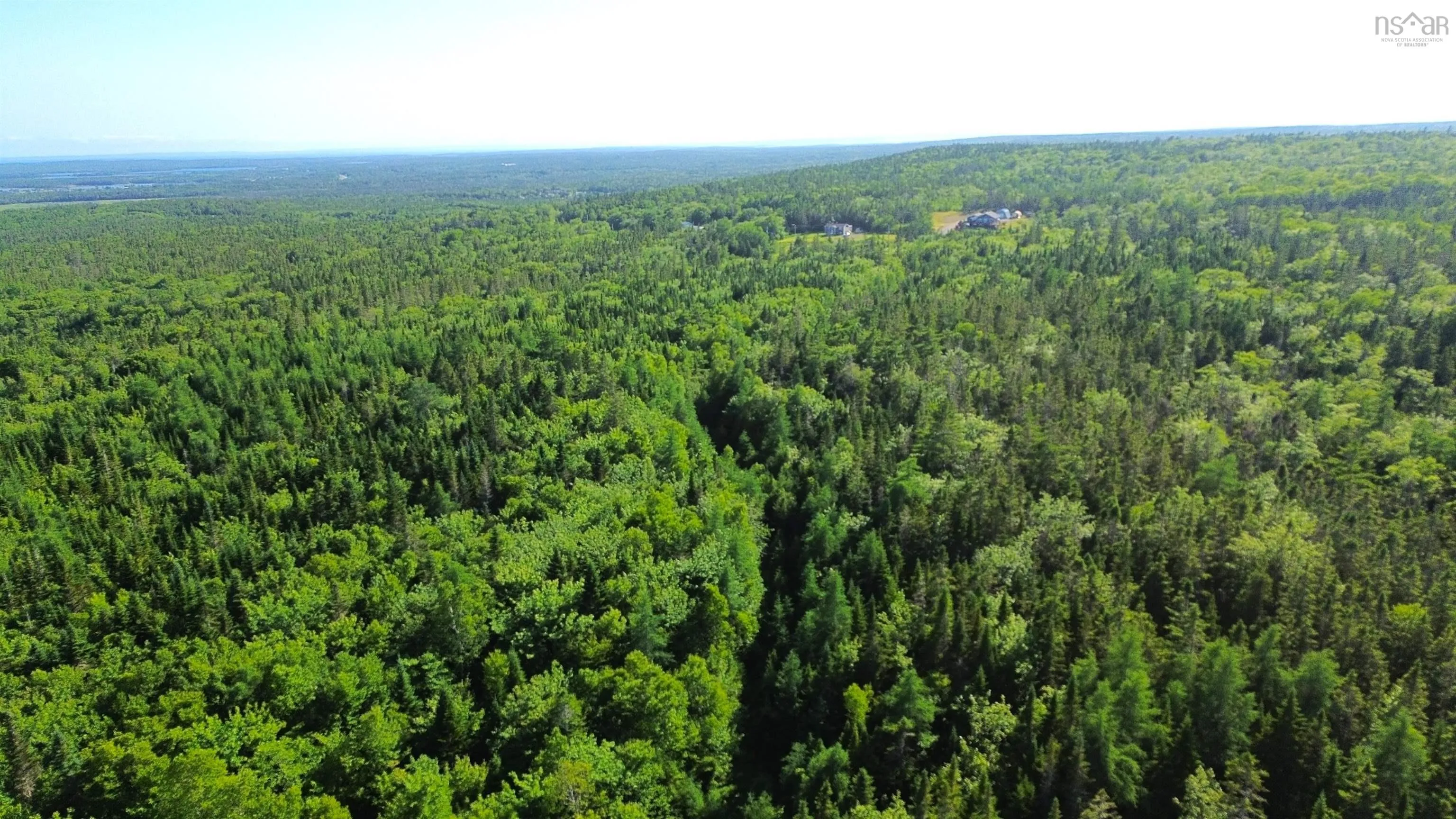 Black River Road, Grande Anse, NS B0E 1V0, ,Land,For Sale,Black River,202517525