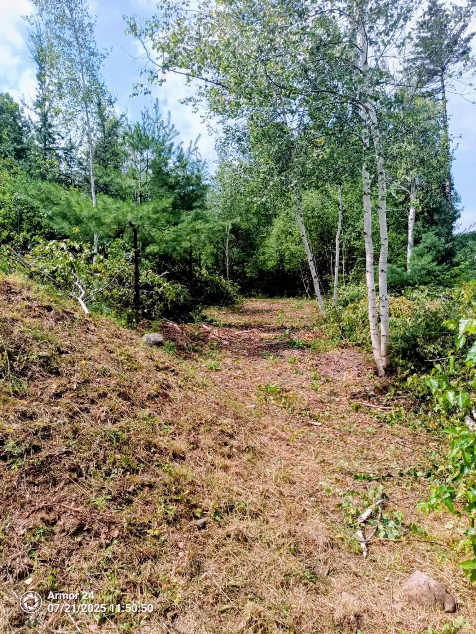 Cornwall Road, Lower Cornwall, NS B0J 2E0, ,Land,For Sale,Cornwall,202517971
