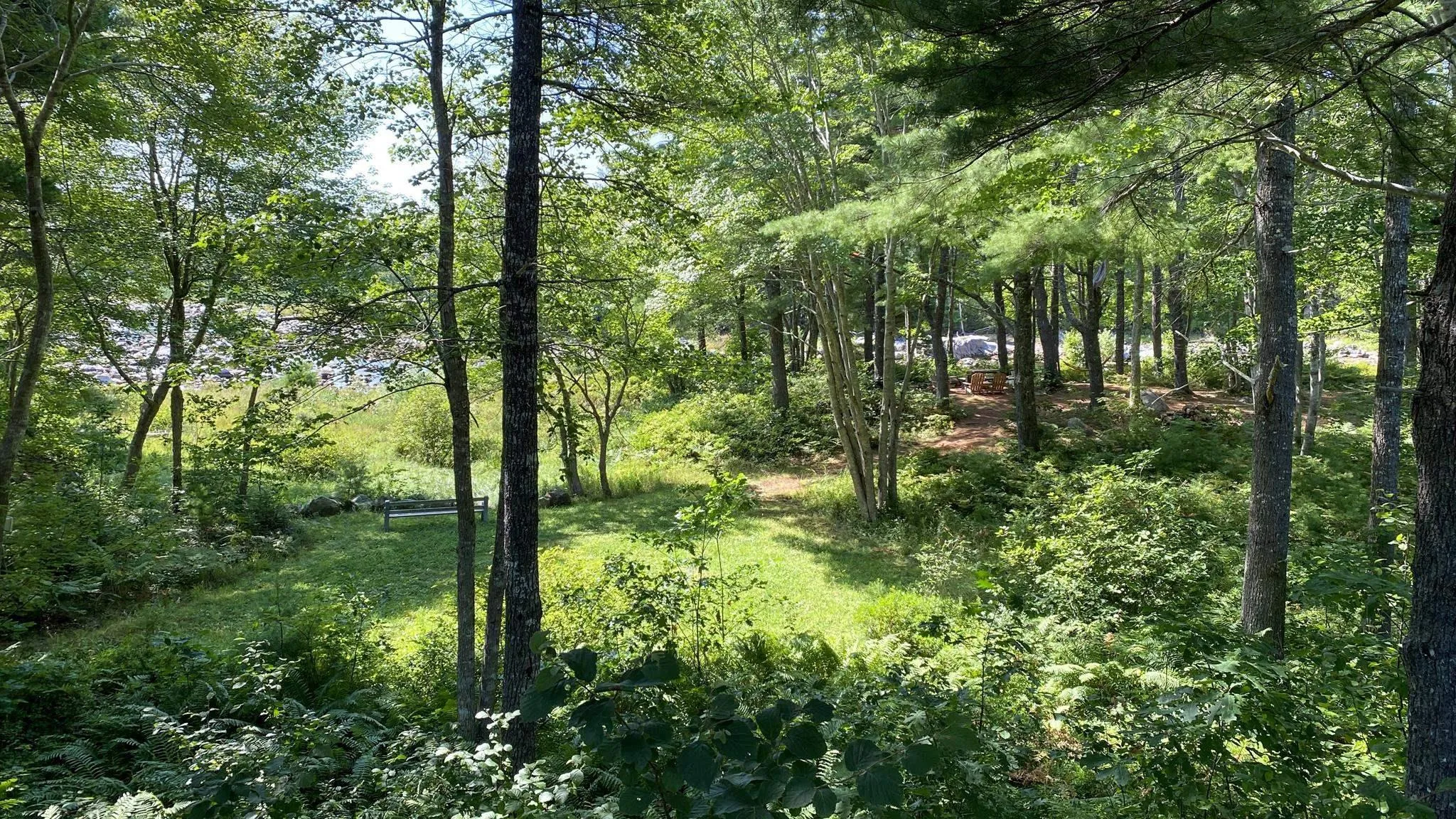 47 Riverview Drive, Lower Ohio, NS B0T 1W0, ,Commercial Sale,For Sale,Riverview,202521375