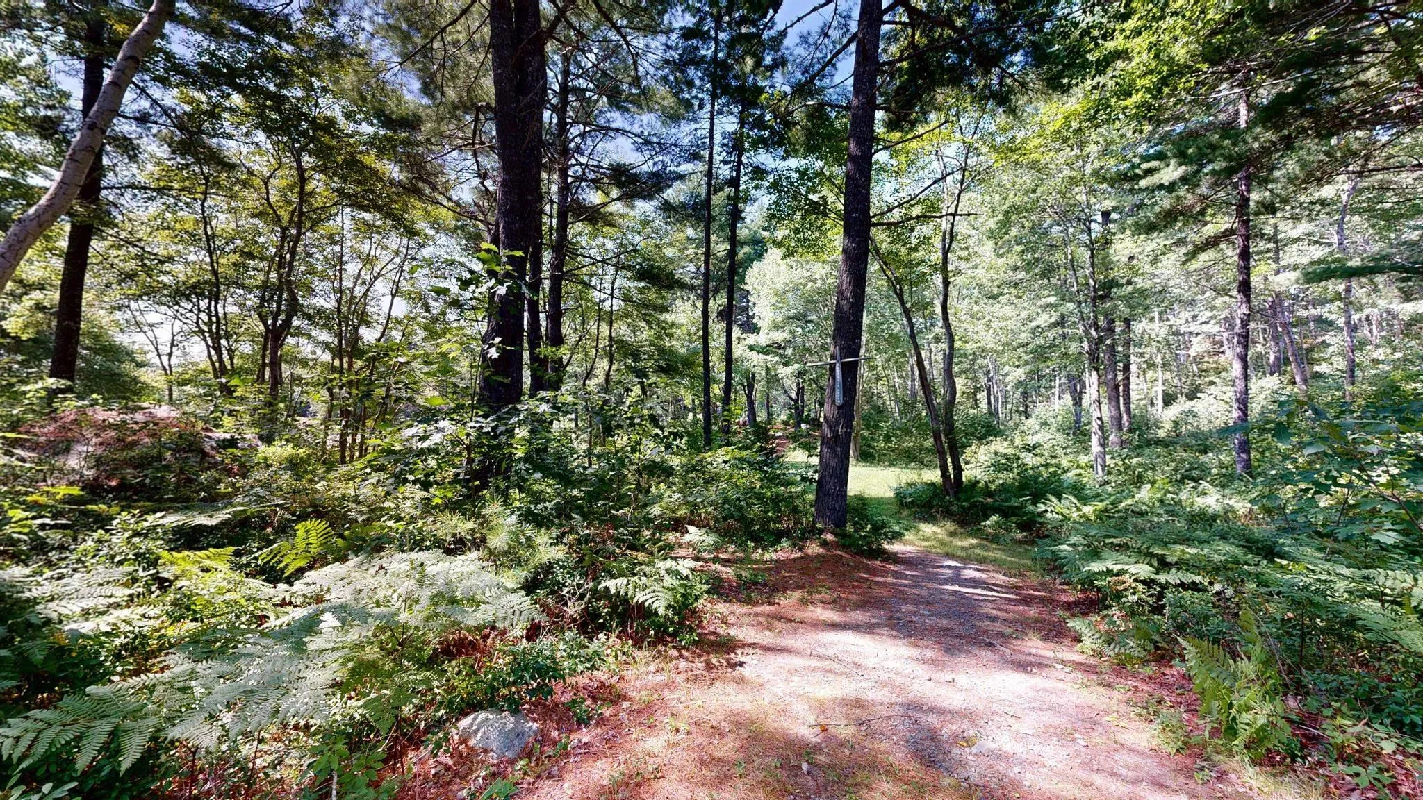 47 Riverview Drive, Lower Ohio, NS B0T 1W0, ,Commercial Sale,For Sale,Riverview,202521375