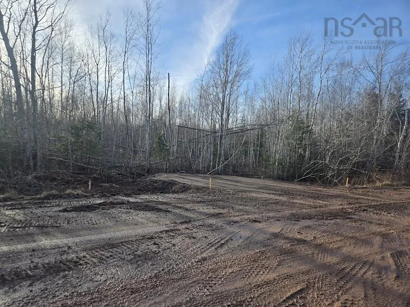 Lot 12 Joudrey Road, Louisville Ns B0k 1n0, ,Land,For Sale,Joudrey,202420827