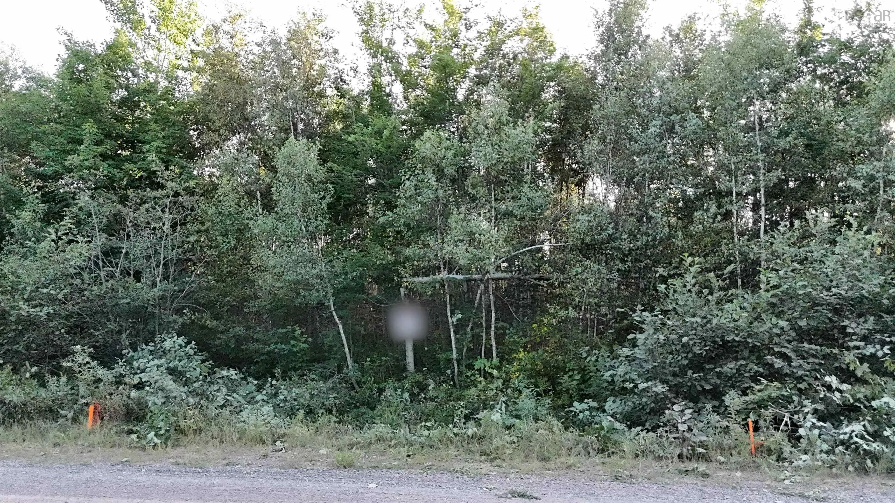 Lot 12 Joudrey Road, Louisville Ns B0k 1n0, ,Land,For Sale,Joudrey,202420827