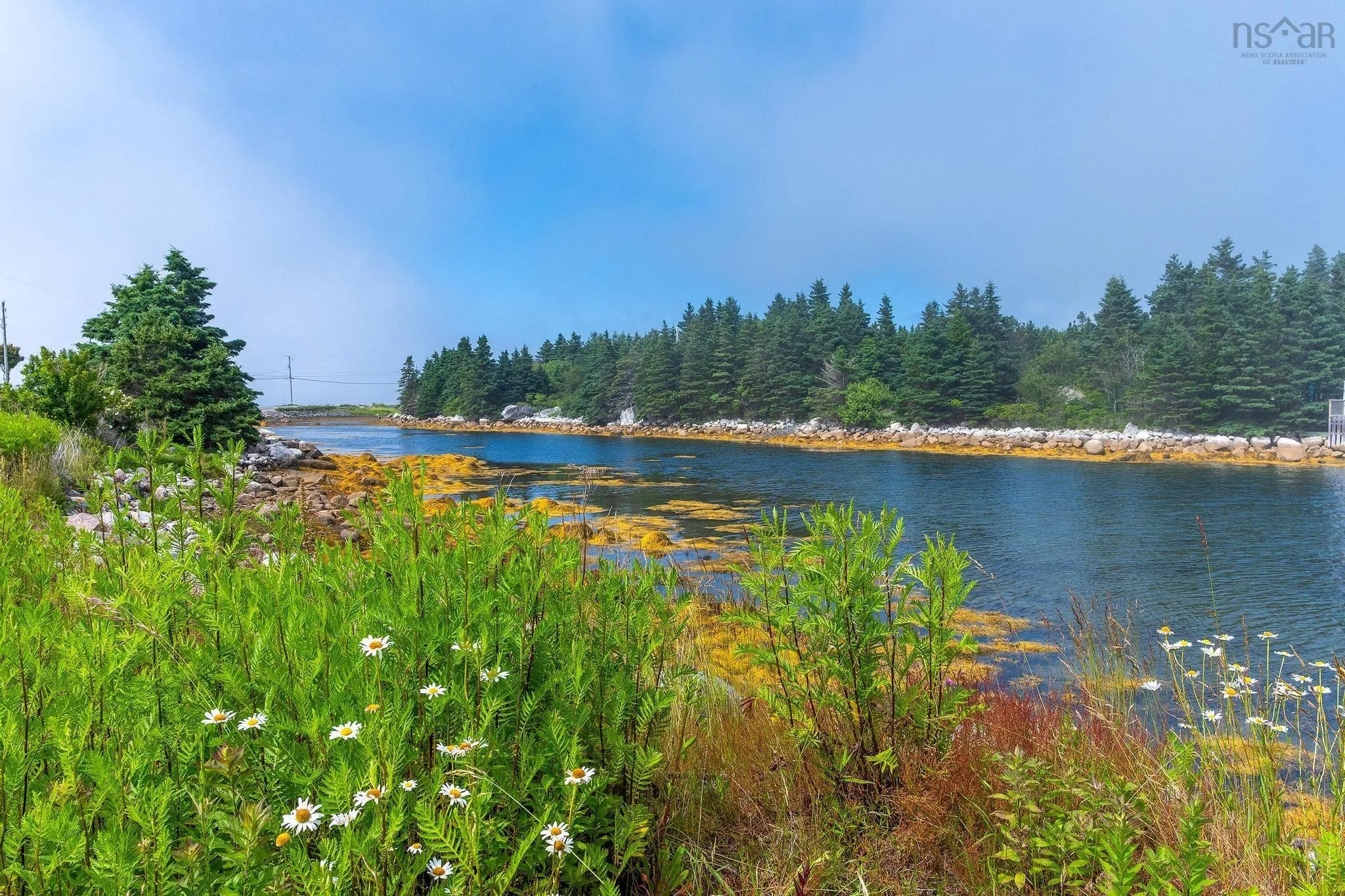 194 Paddy's Head Road, Indian Harbour, NS B3Z 3N8, 3 Bedrooms Bedrooms, ,2 BathroomsBathrooms,Residential,For Sale,Paddy's Head Road,202517732