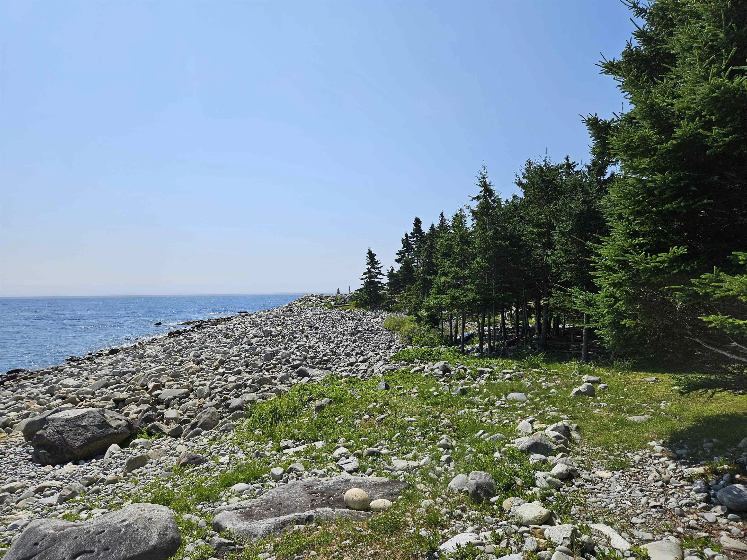 895 Shore Road, Moose Harbour, NS B0T 1K0, ,1 BathroomBathrooms,Residential,For Sale,Shore,202518056