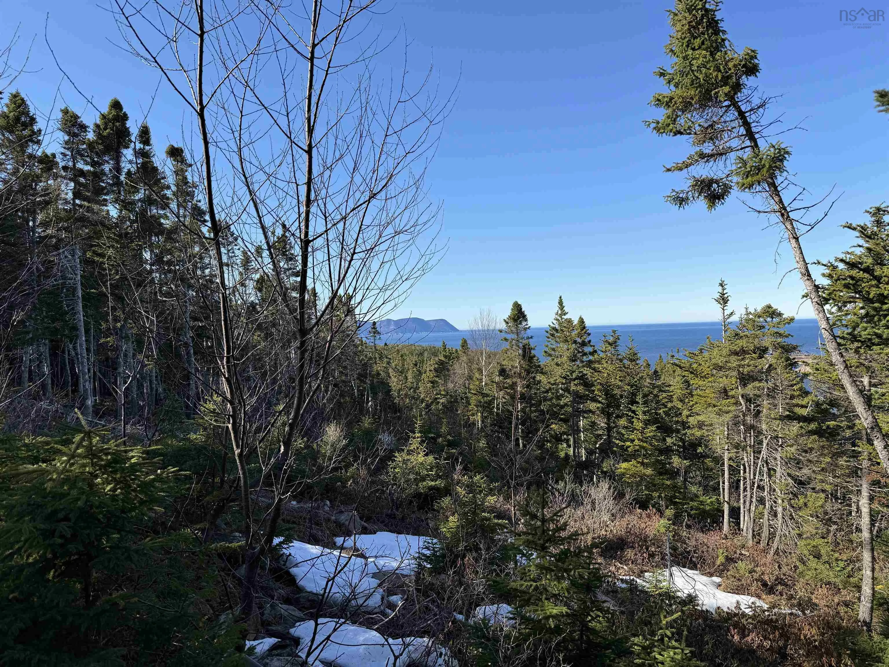 White Point Road, Smelt Brook Ns B0c 1n0, ,Land,For Sale,White Point,202505584
