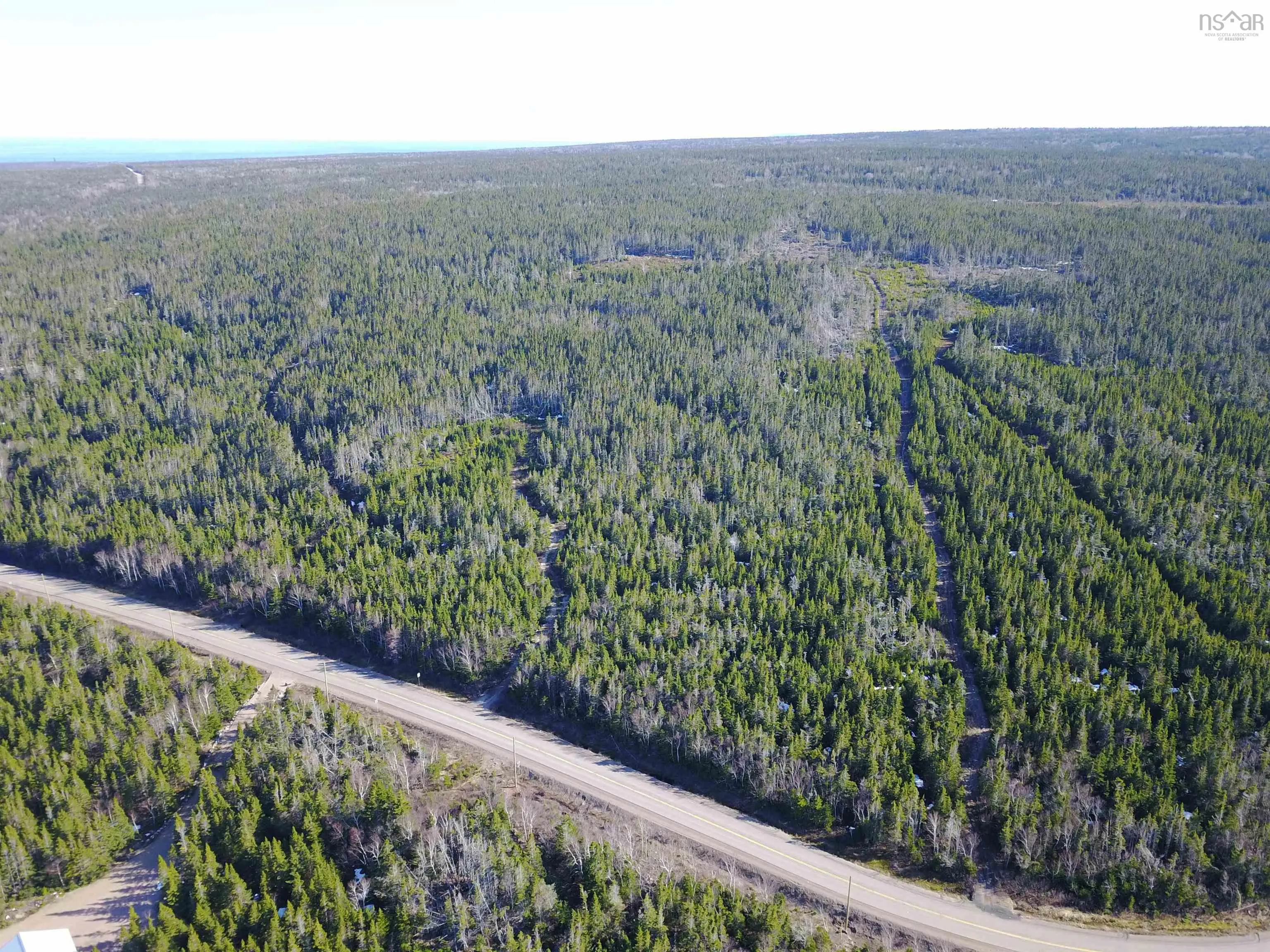 White Point Road, Smelt Brook Ns B0c 1n0, ,Land,For Sale,White Point,202505584