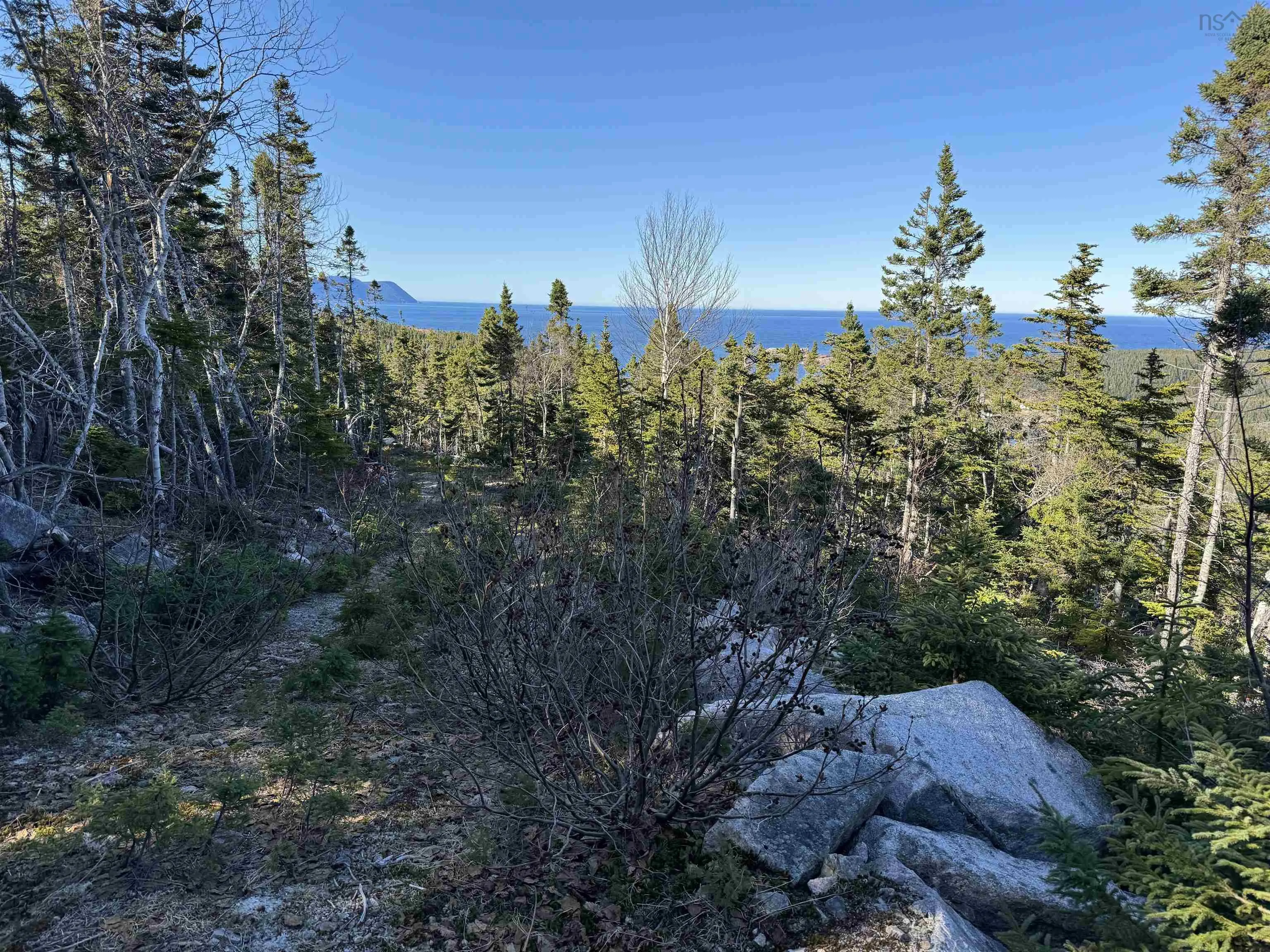 White Point Road, Smelt Brook Ns B0c 1n0, ,Land,For Sale,White Point,202505584