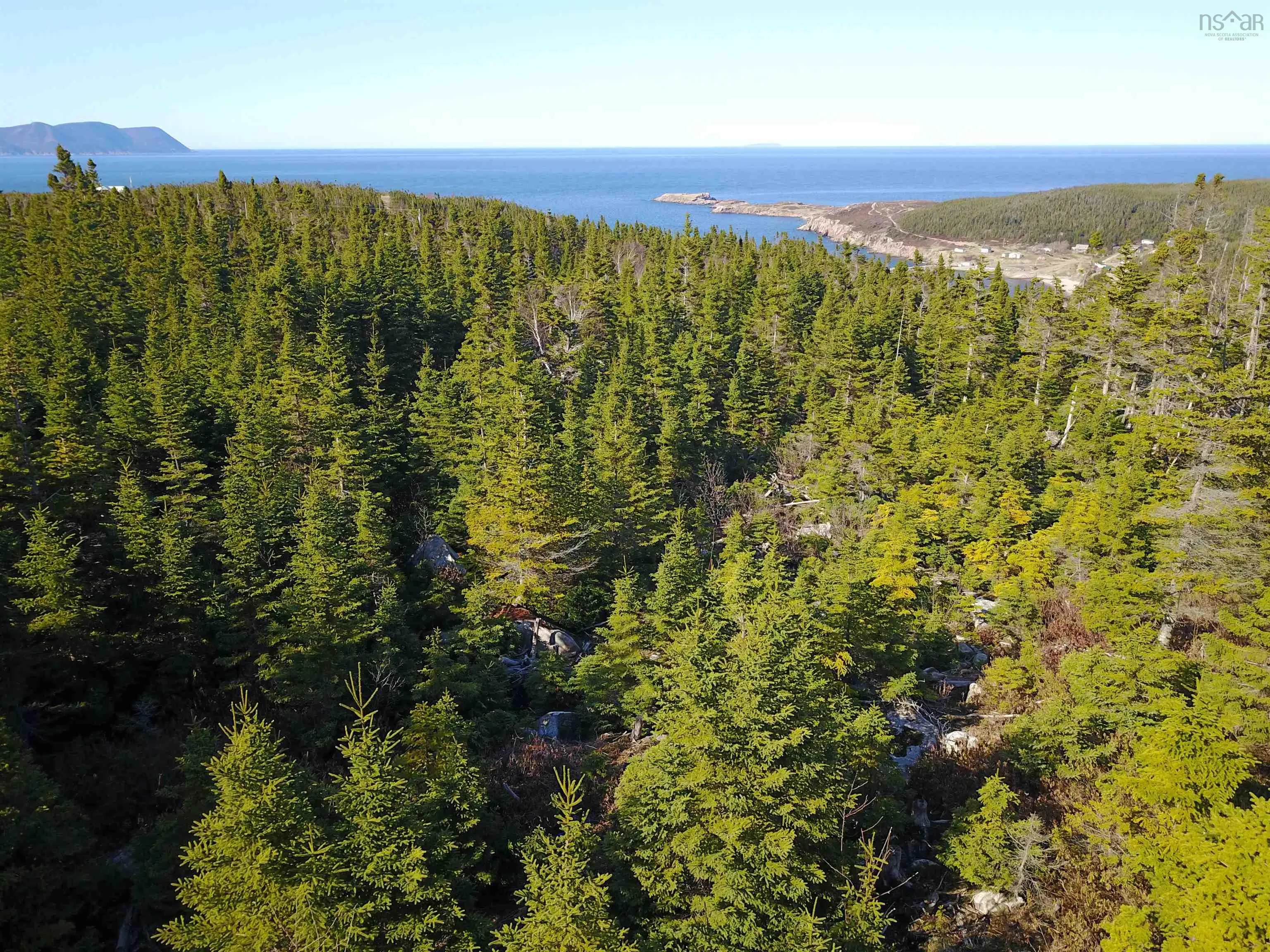 White Point Road, Smelt Brook Ns B0c 1n0, ,Land,For Sale,White Point,202505584